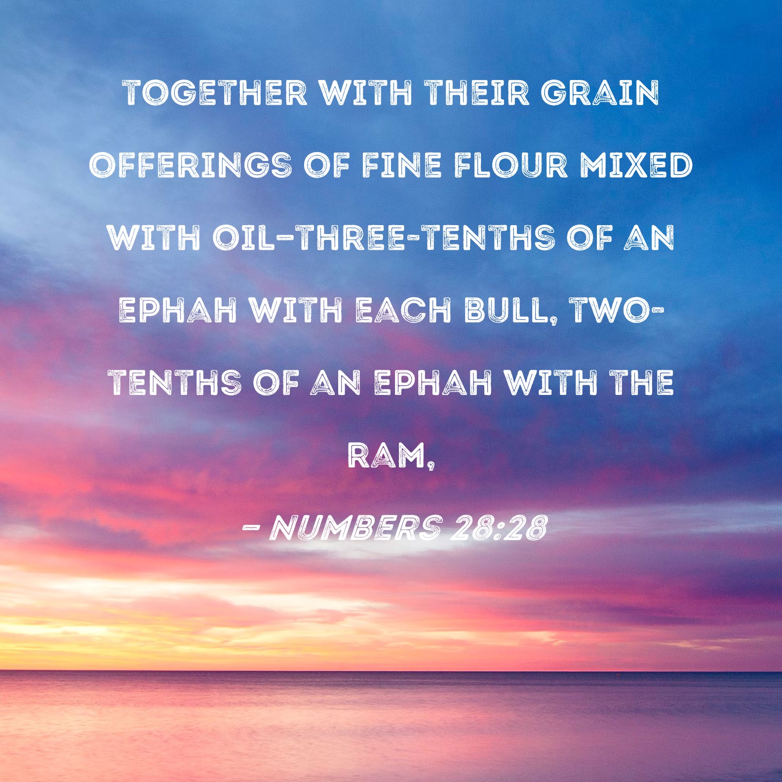 Numbers 2828 together with their grain offerings of fine flour mixed