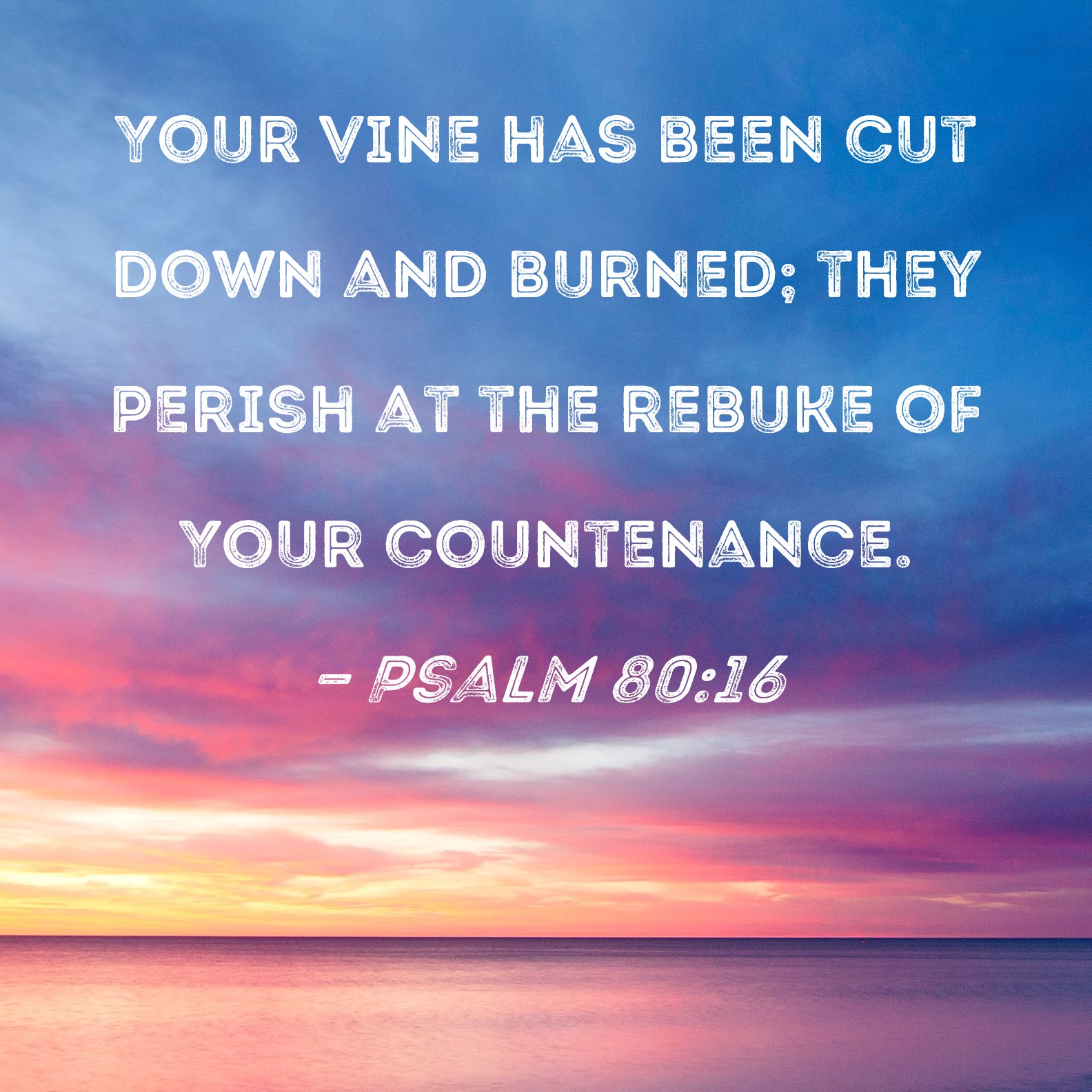 Psalm 8016 Your vine has been cut down and burned; they perish at the