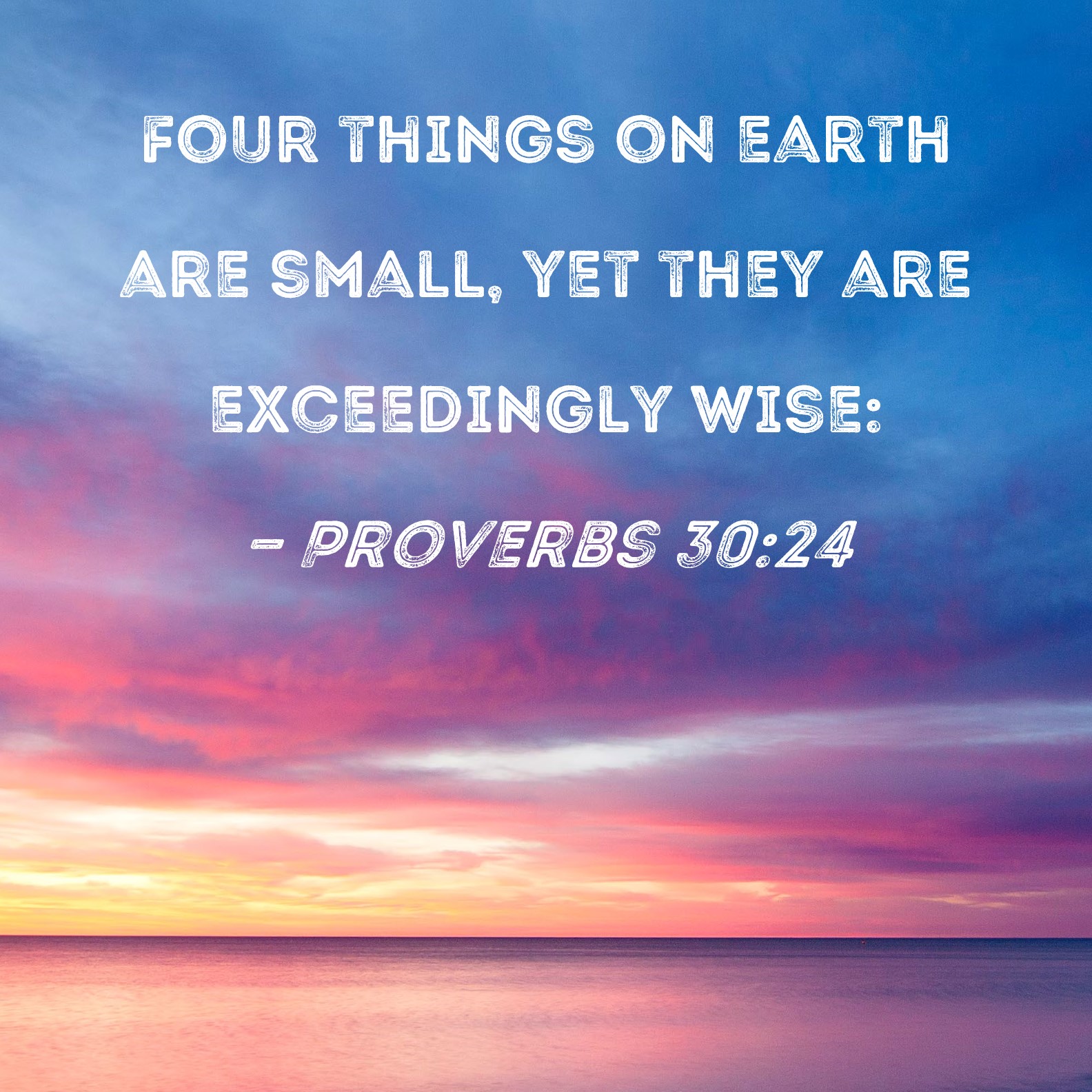 Proverbs 3024 Four things on earth are small, yet they are exceedingly