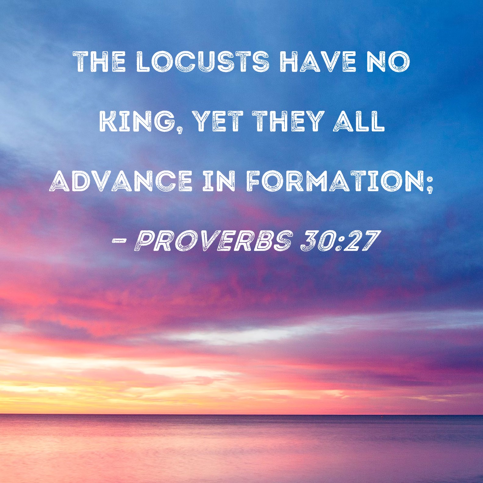 Proverbs 3027 the locusts have no king, yet they all advance in formation;