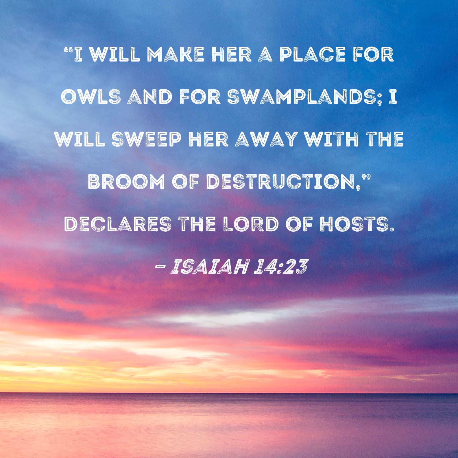 Isaiah 1423 "I will make her a place for owls and for swamplands; I