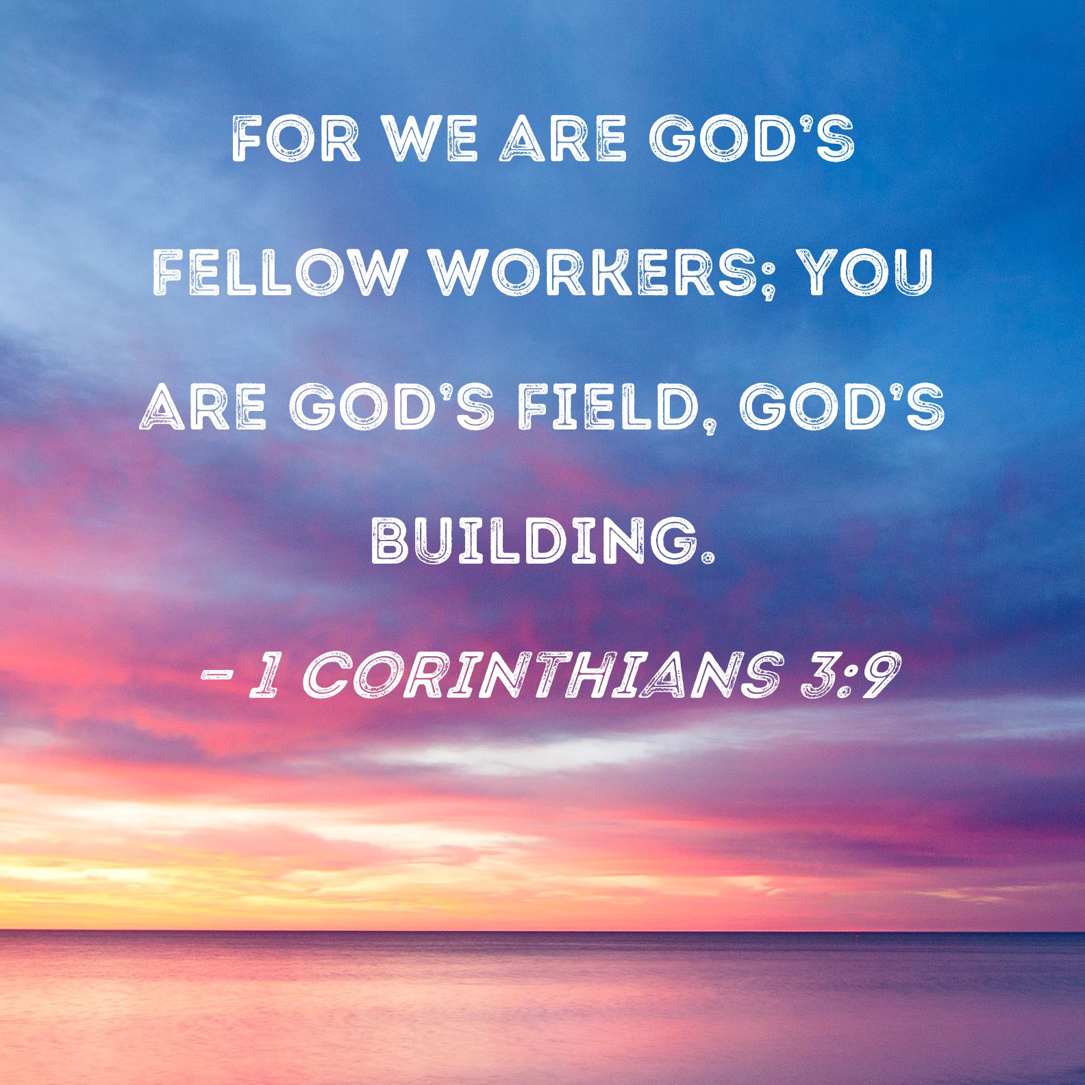 1 Corinthians 39 For we are God's fellow workers; you are God's field