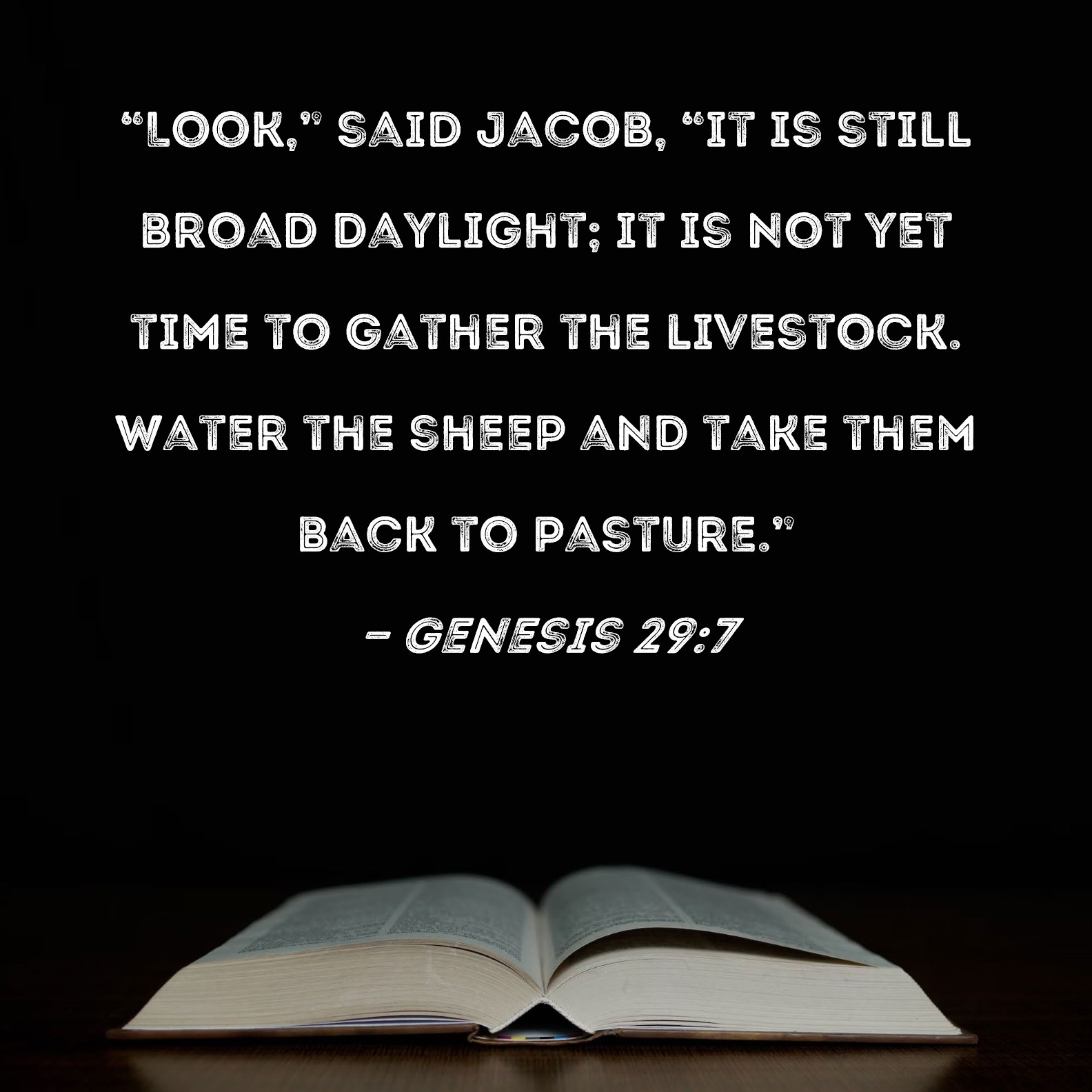 Genesis 297 "Look," said Jacob, "it is still broad daylight; it is not