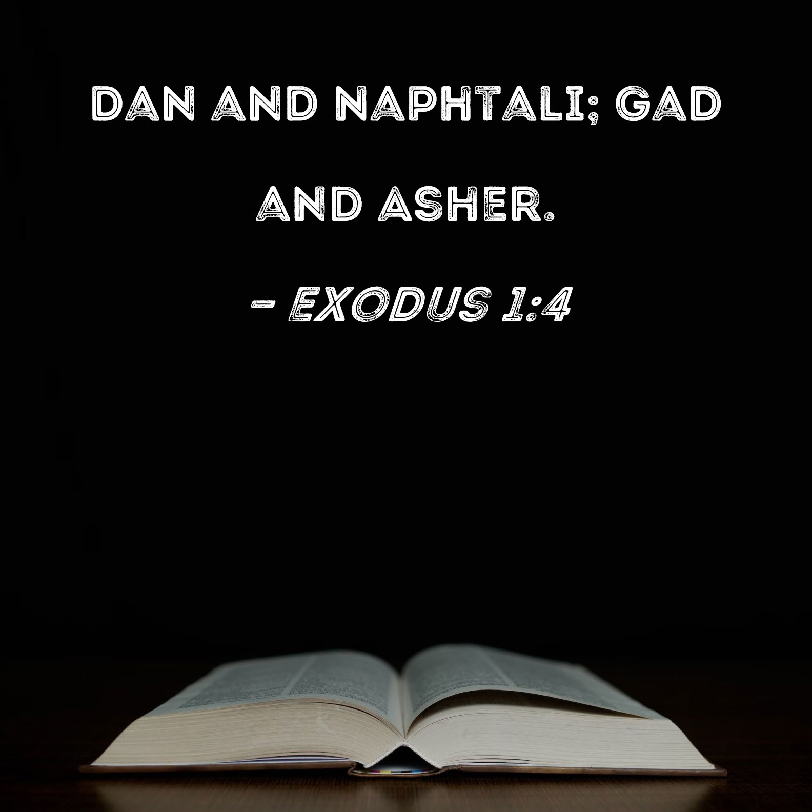 Exodus 14 Dan and Naphtali; Gad and Asher.