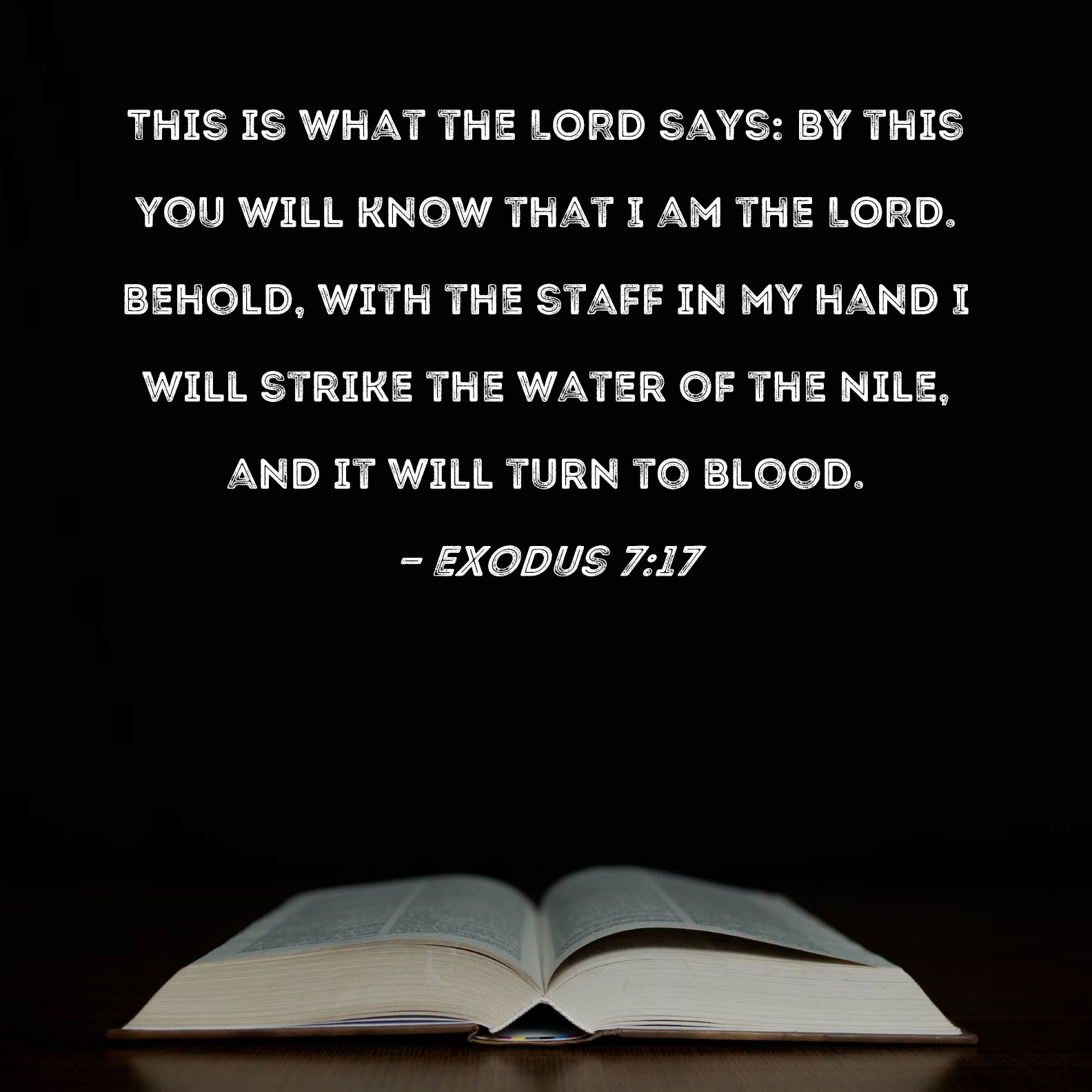 Exodus 717 This is what the LORD says By this you will know that I am the LORD. Behold, with