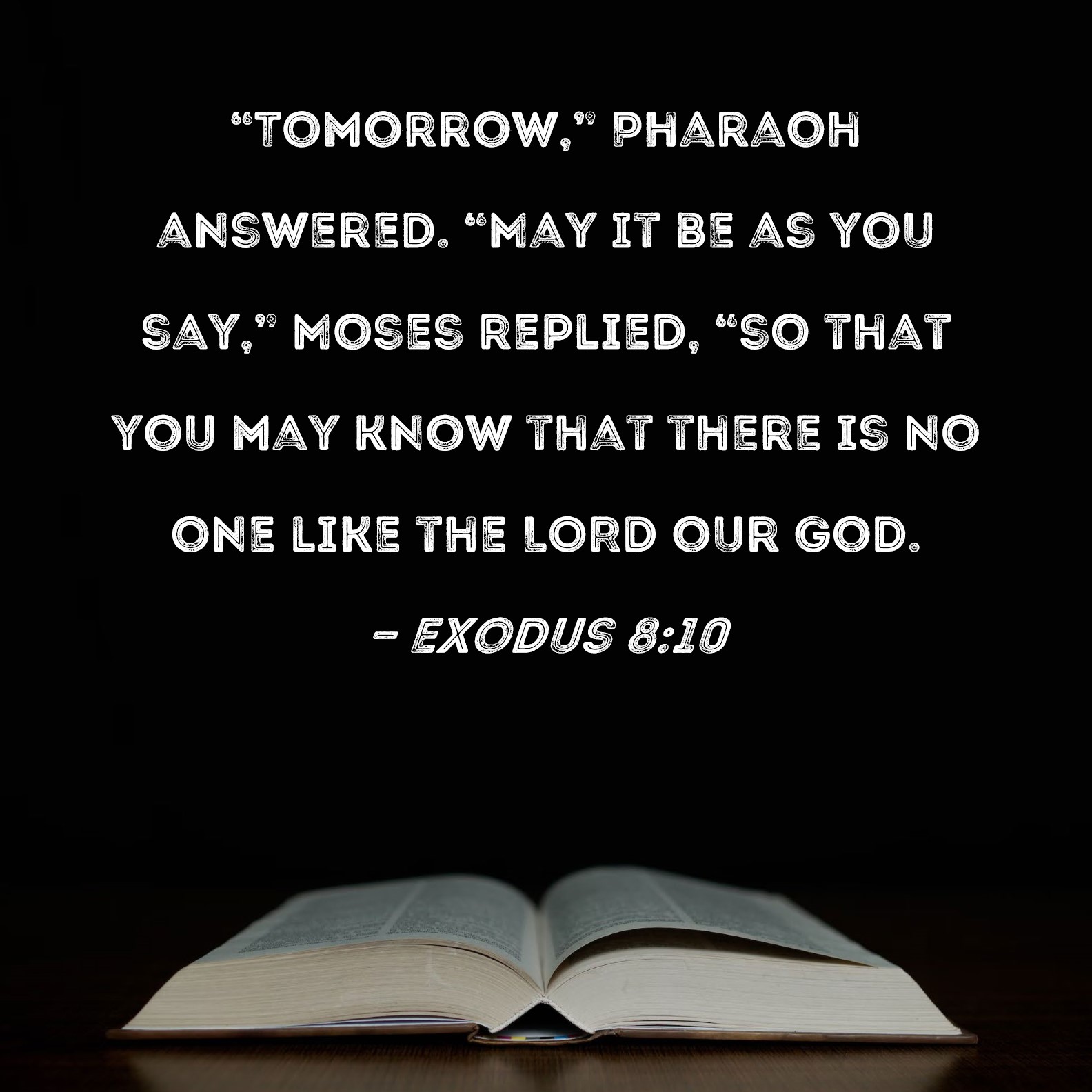 Exodus 810 "Tomorrow," Pharaoh answered. "May it be as you say," Moses replied, "so that you
