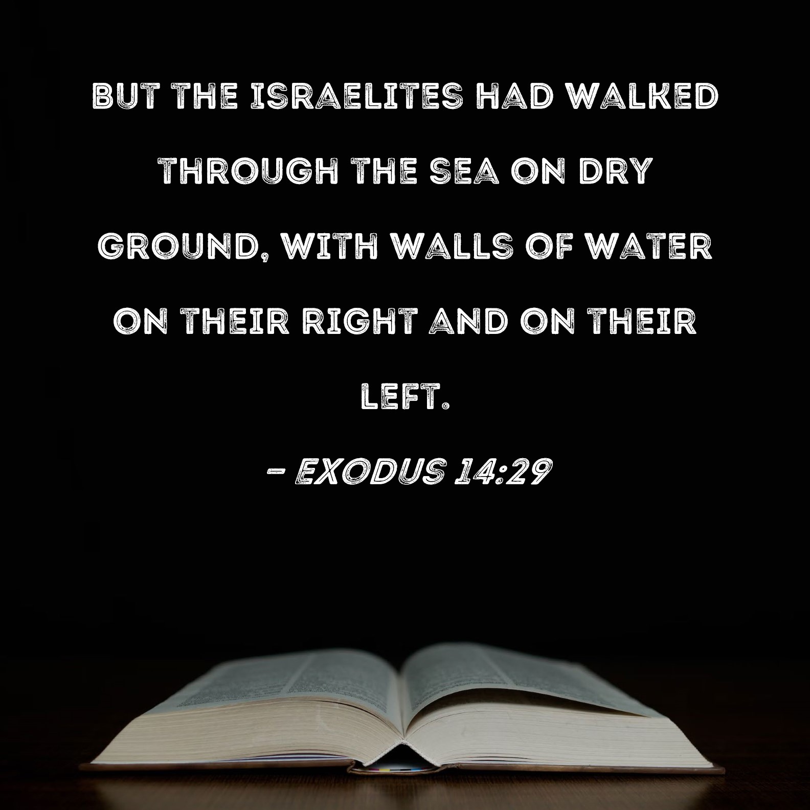 Exodus 1429 But the Israelites had walked through the sea on dry