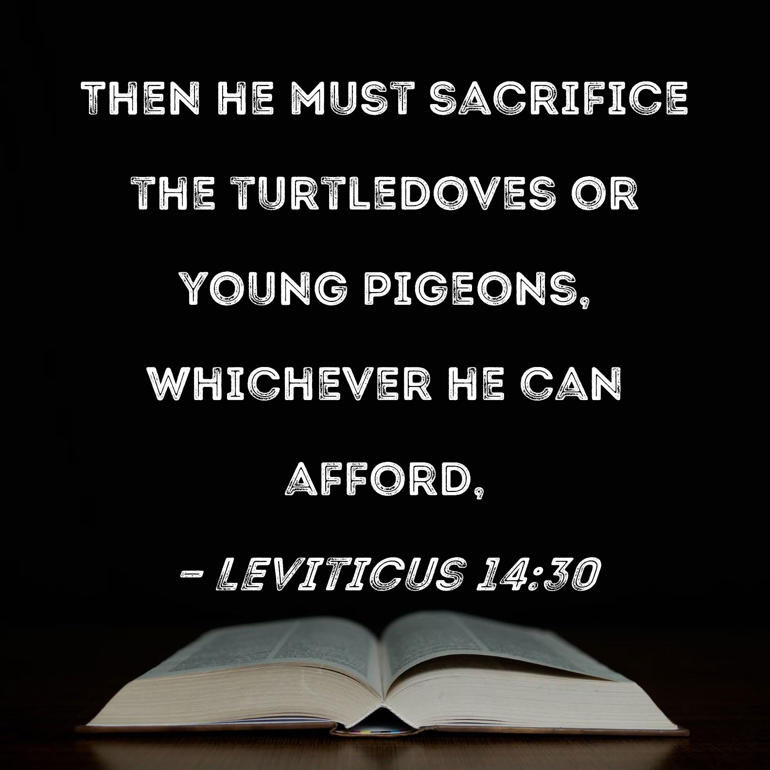 Leviticus 1430 Then he must sacrifice the turtledoves or young pigeons