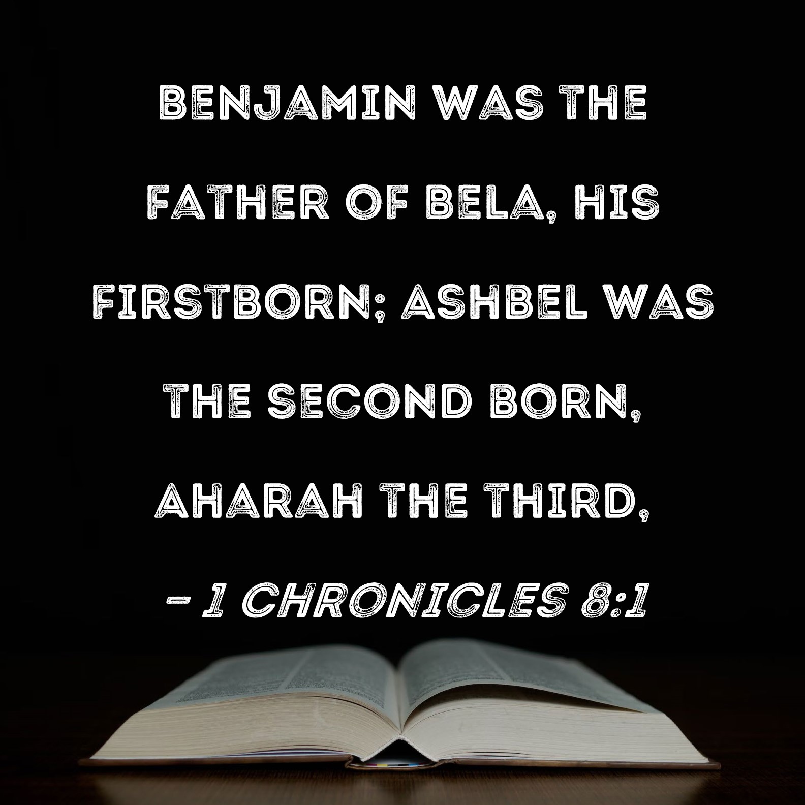 1 Chronicles 81 Benjamin was the father of Bela, his firstborn; Ashbel