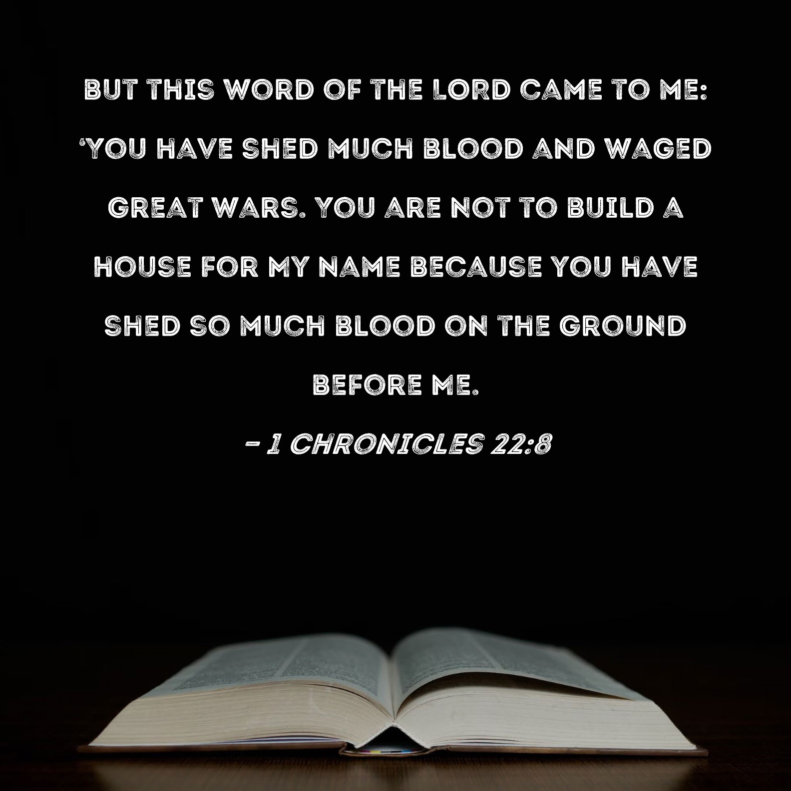 1 Chronicles 228 but this word of the LORD came to me 'You have shed