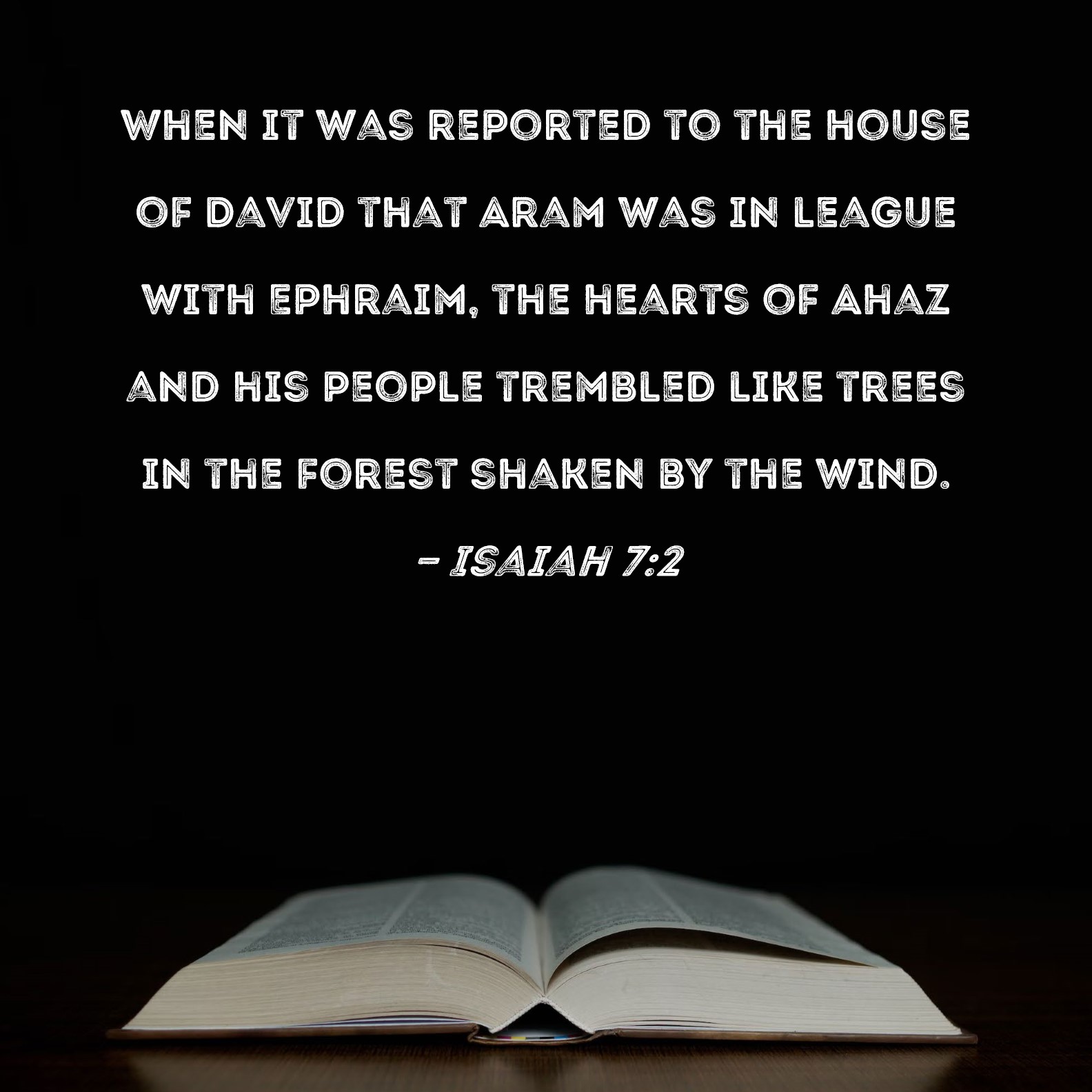 Isaiah 72 When it was reported to the house of David that Aram was in