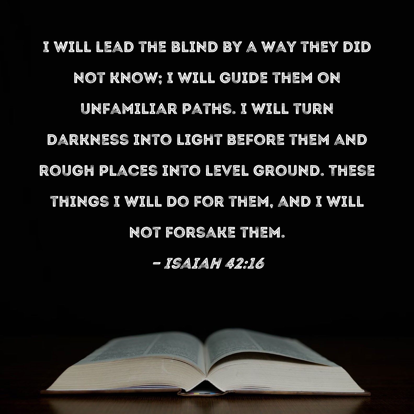 Isaiah 4216 I will lead the blind by a way they did not know; I will