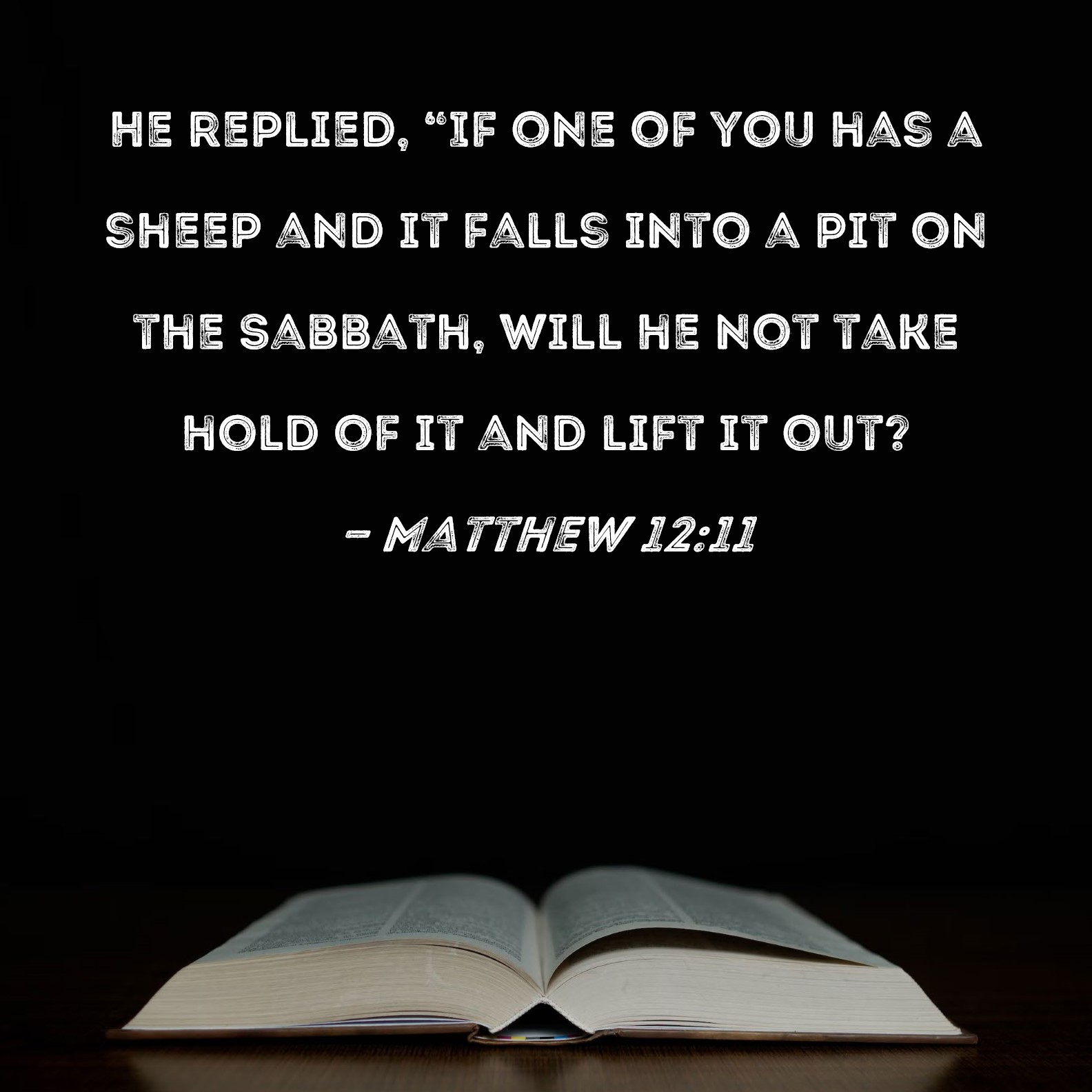 Matthew 1211 He replied, "If one of you has a sheep and it falls into