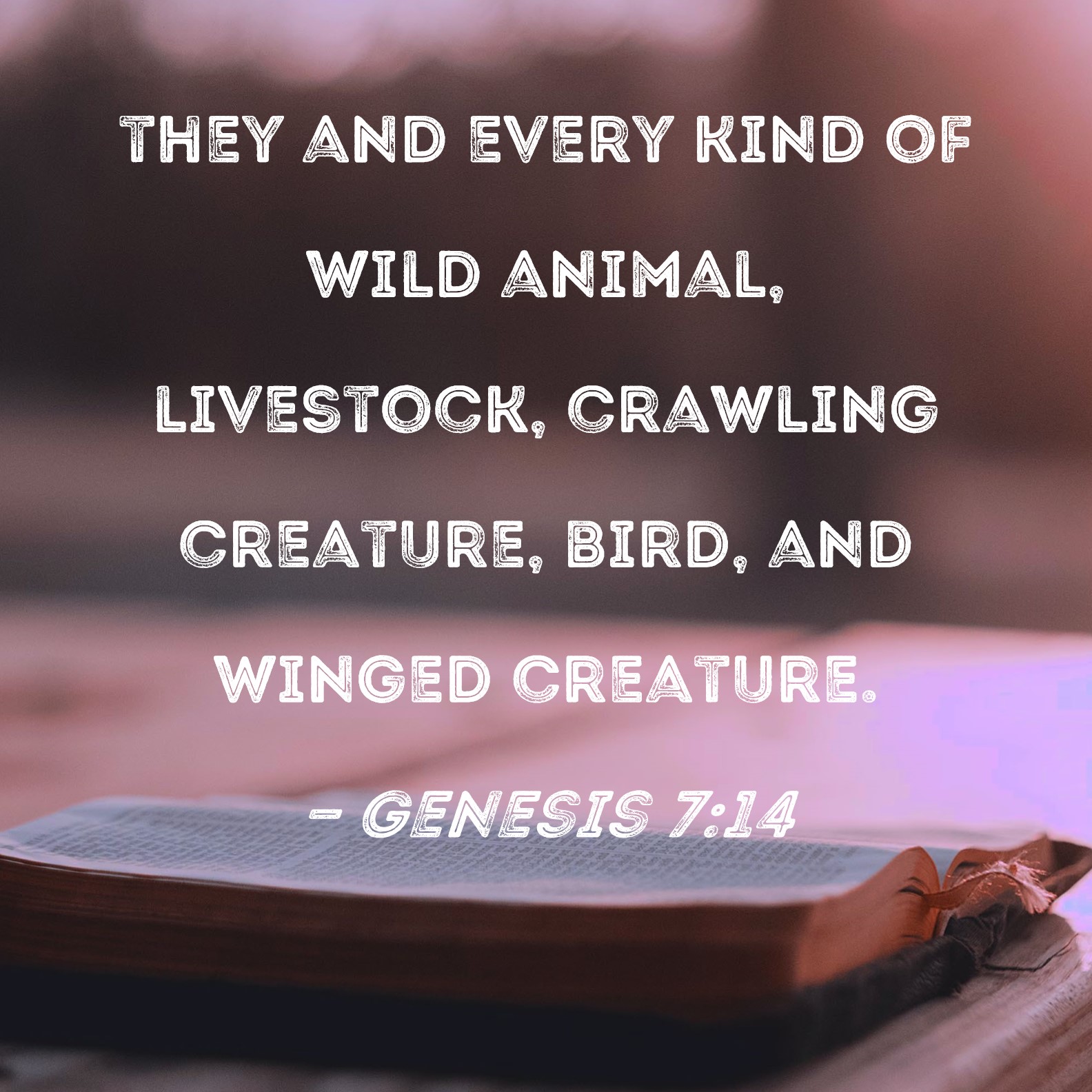 Genesis 714 they and every kind of wild animal, livestock, crawling