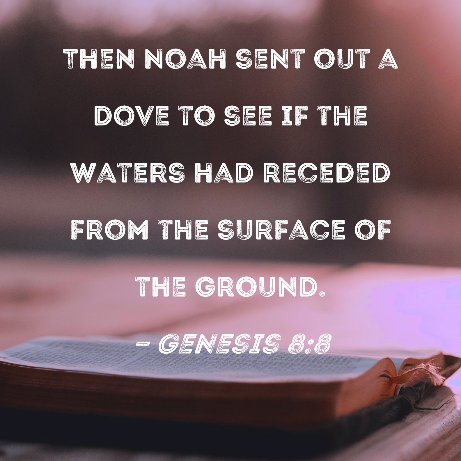 Genesis 88 Then Noah sent out a dove to see if the waters had receded