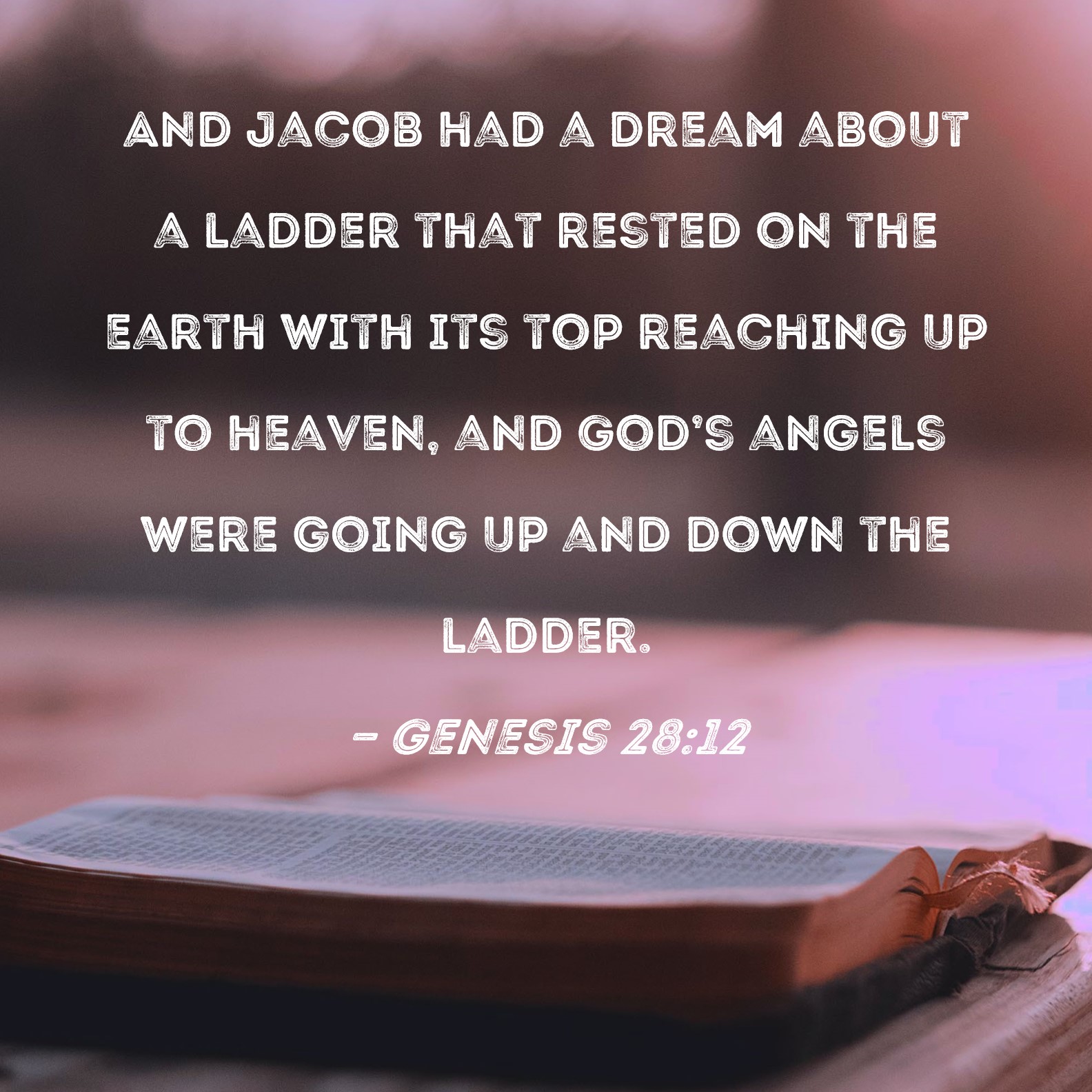 Genesis 2812 And Jacob had a dream about a ladder that rested on the