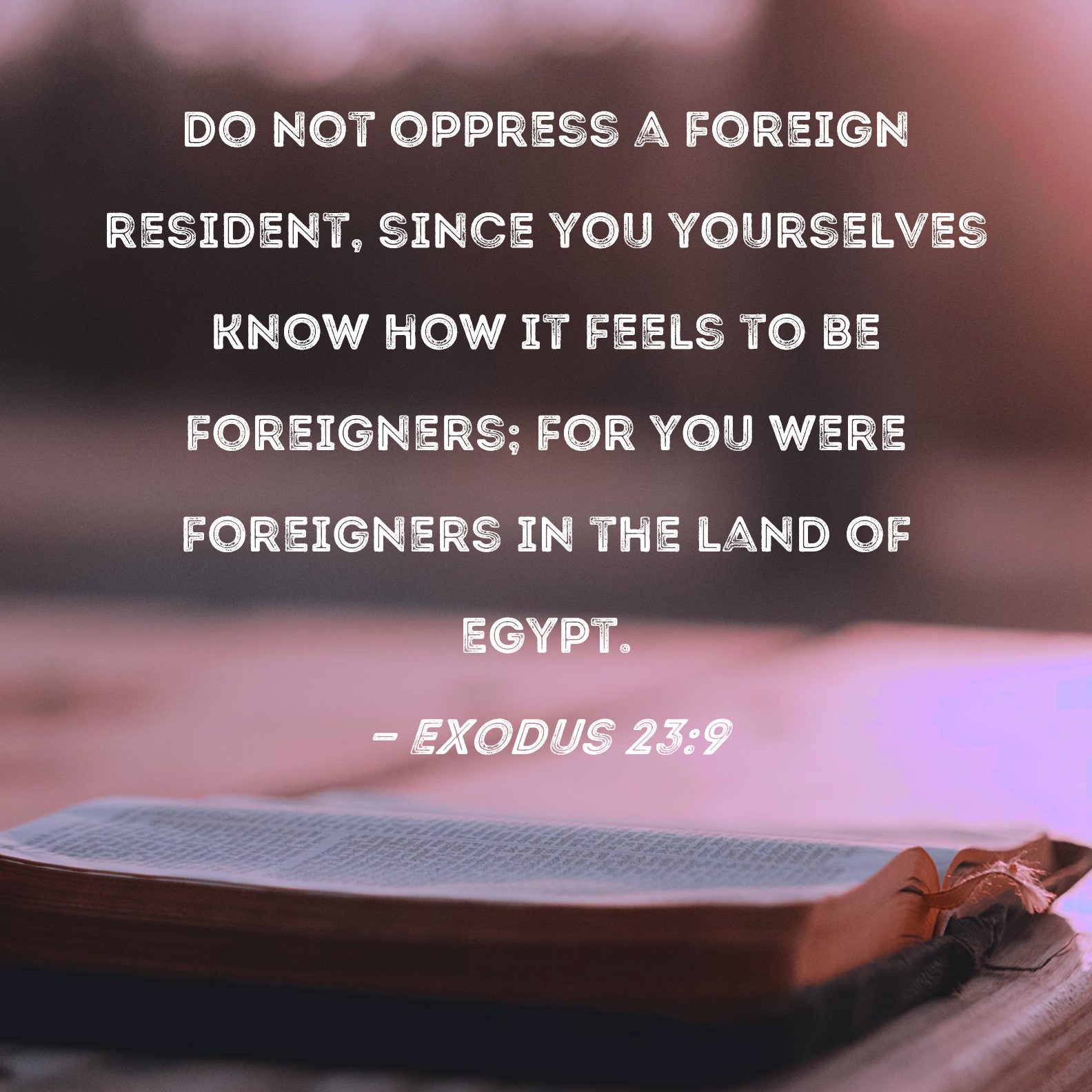 Exodus 239 Do not oppress a foreign resident, since you yourselves
