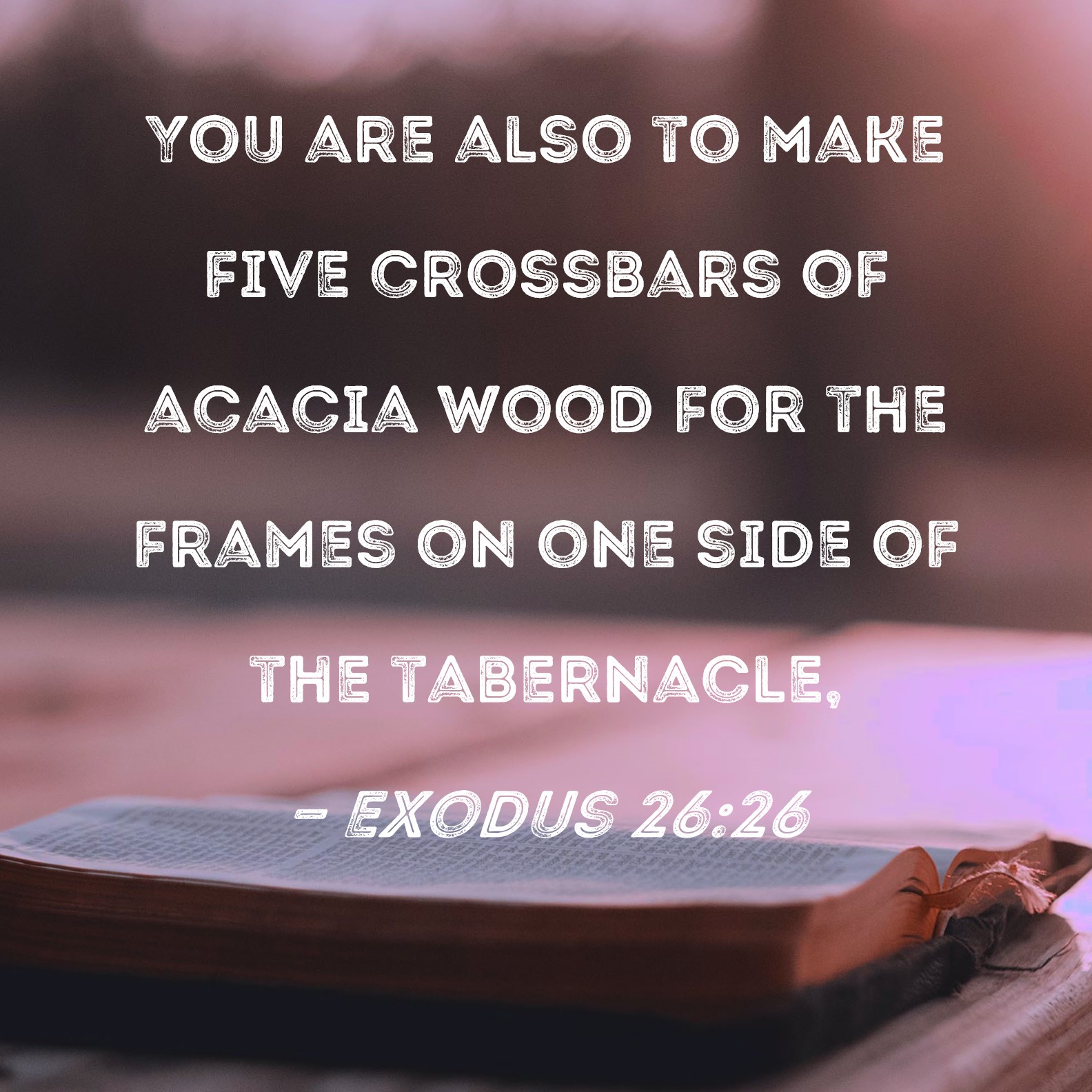Exodus 2626 You are also to make five crossbars of acacia wood for the frames on one side of