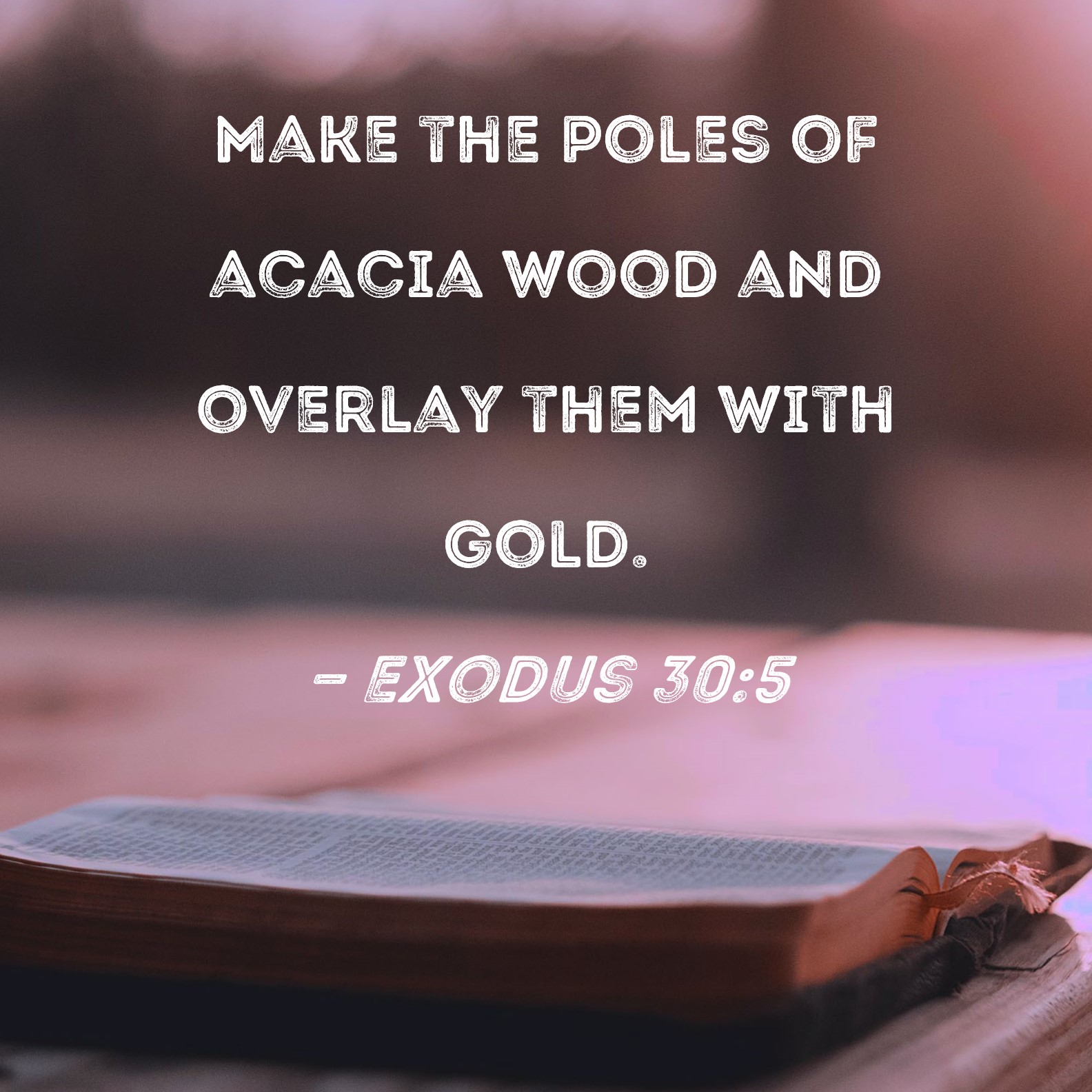 Why Did God Use Acacia Wood at Frederick Staley blog