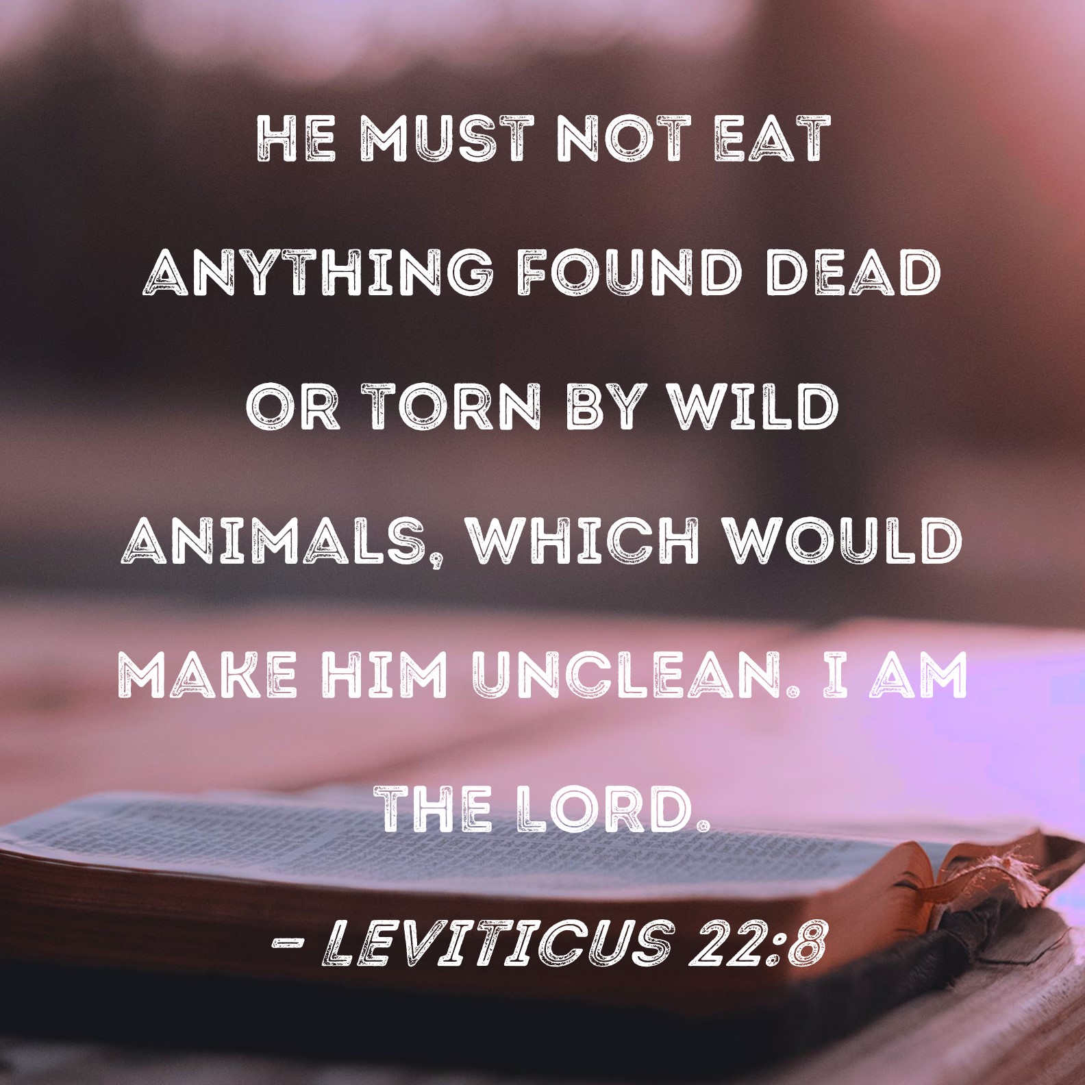 Leviticus 228 He must not eat anything found dead or torn by wild