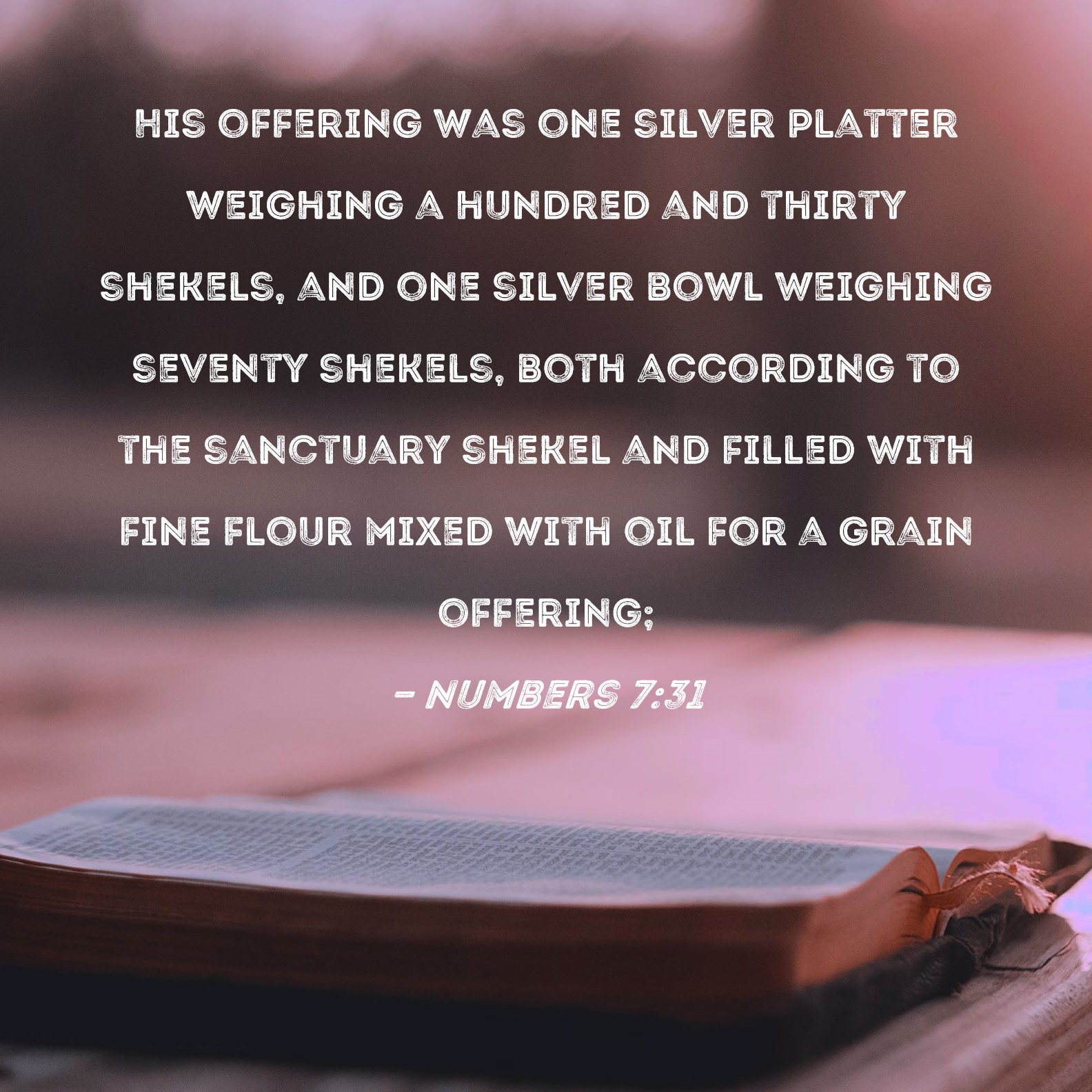 Numbers 731 His offering was one silver platter weighing a hundred and