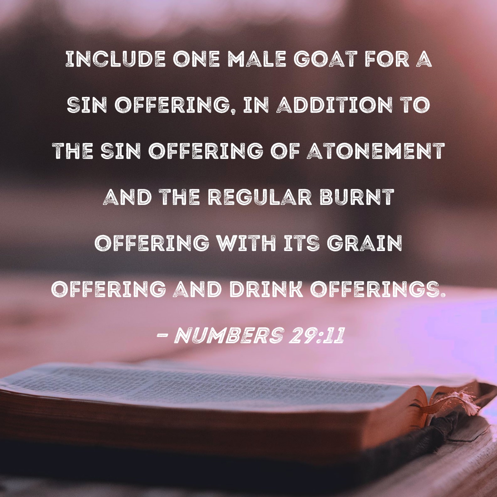 Numbers 2911 Include one male goat for a sin offering, in addition to