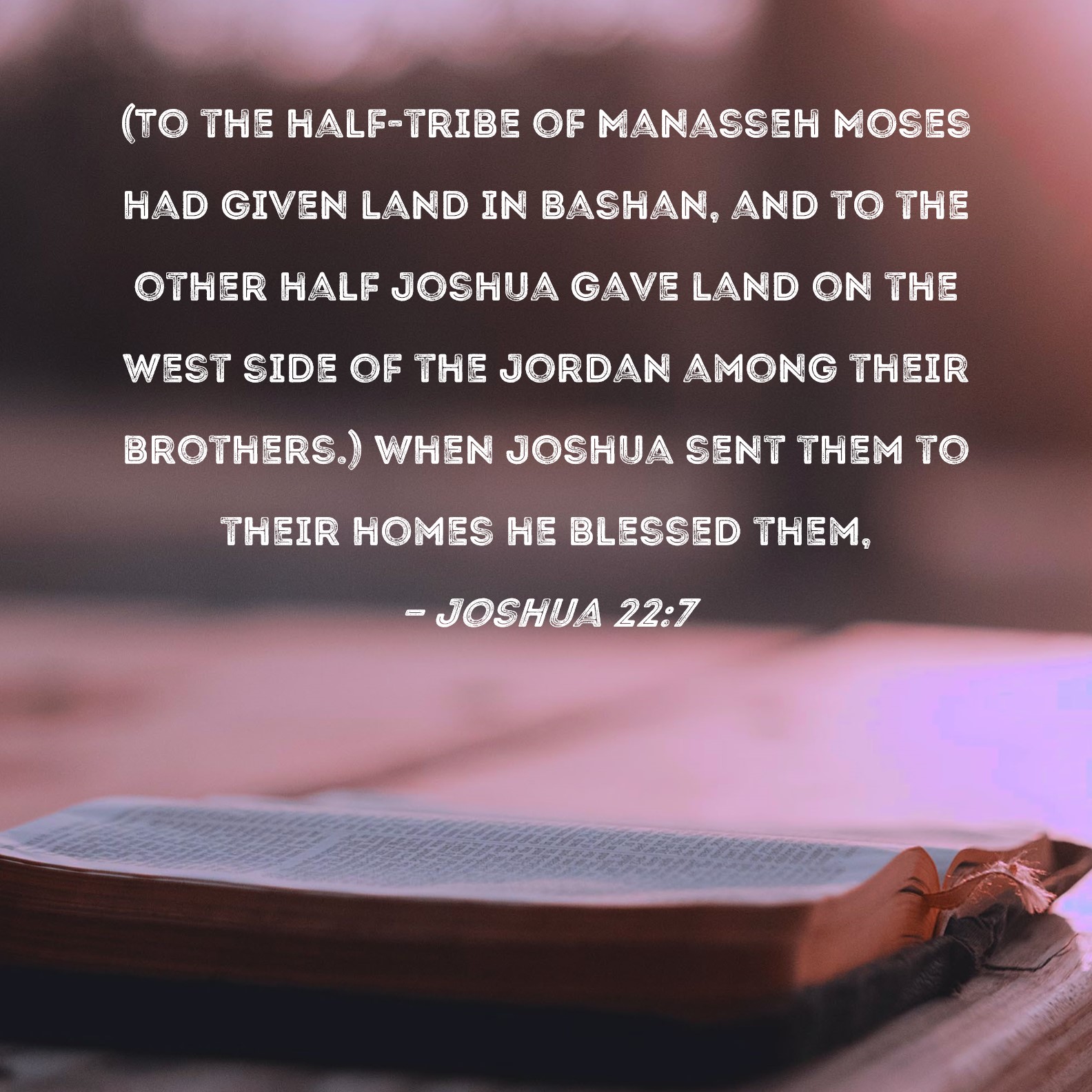 Joshua 227 (To the halftribe of Manasseh Moses had given land in