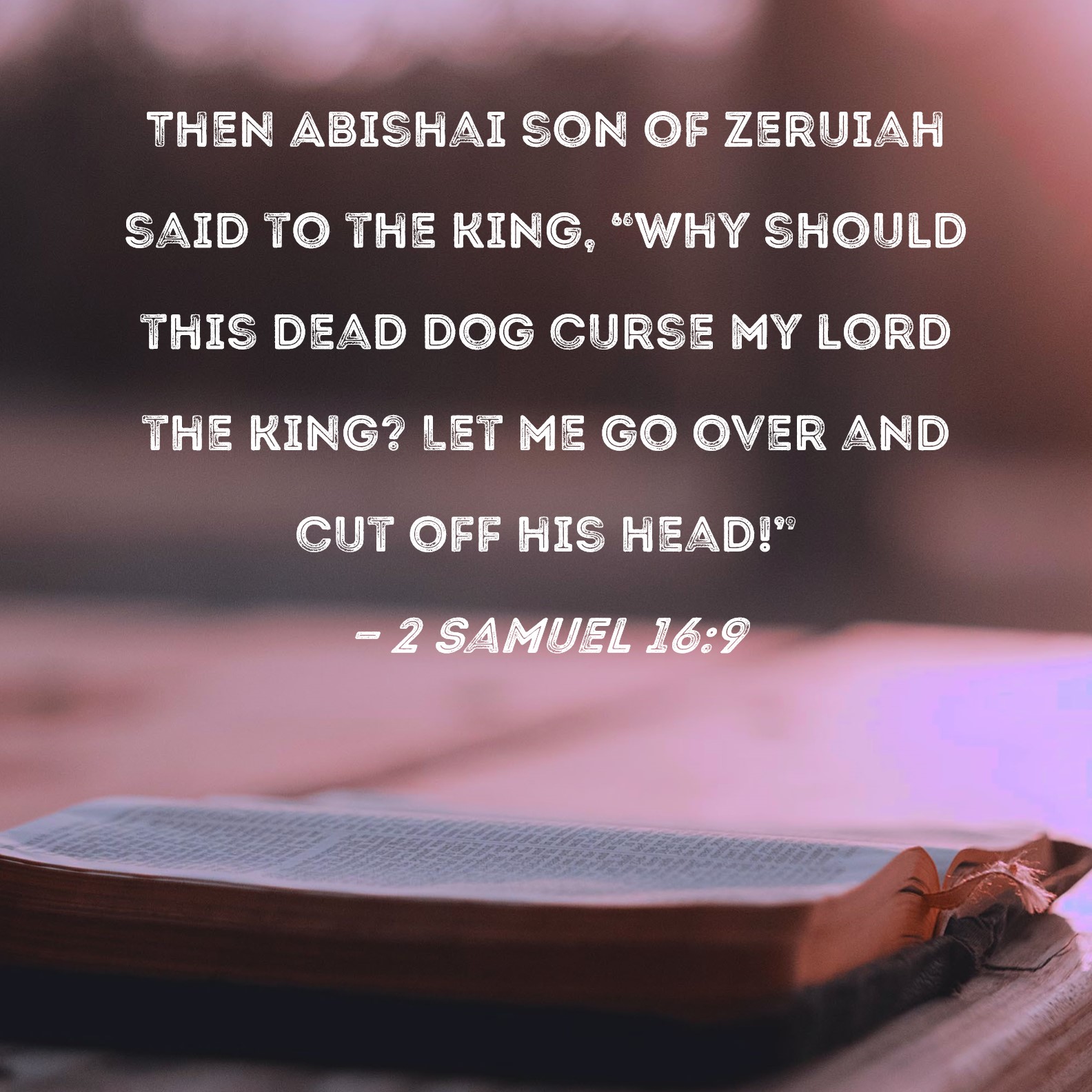 2 Samuel 169 Then Abishai son of Zeruiah said to the king, "Why should