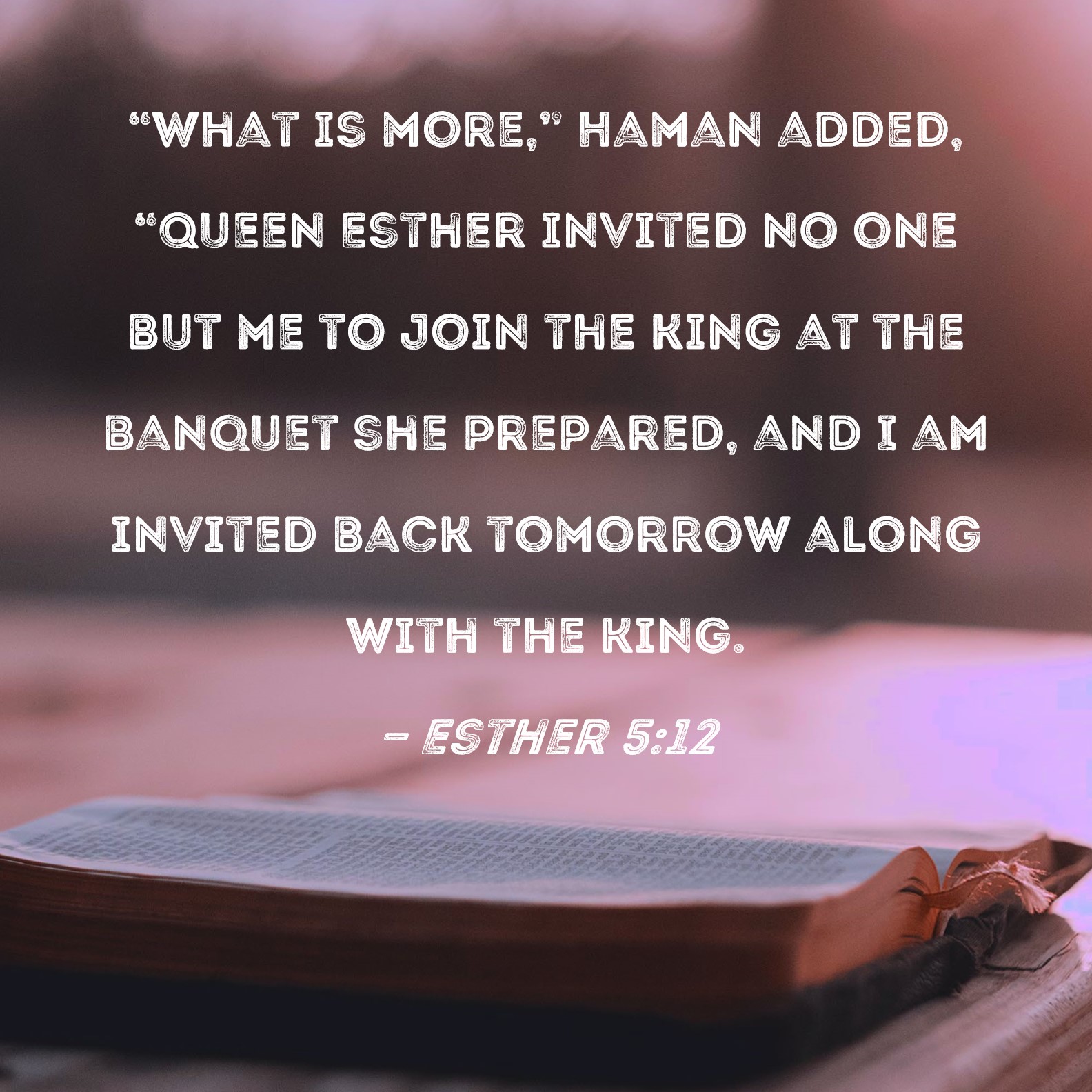 Esther 512 "What is more," Haman added, "Queen Esther invited no one
