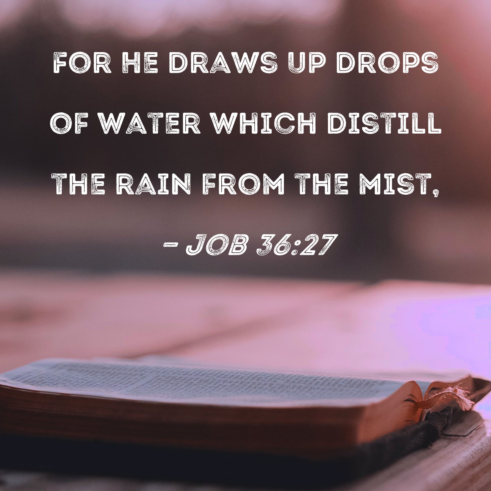 Job 3627 For He draws up drops of water which distill the rain from