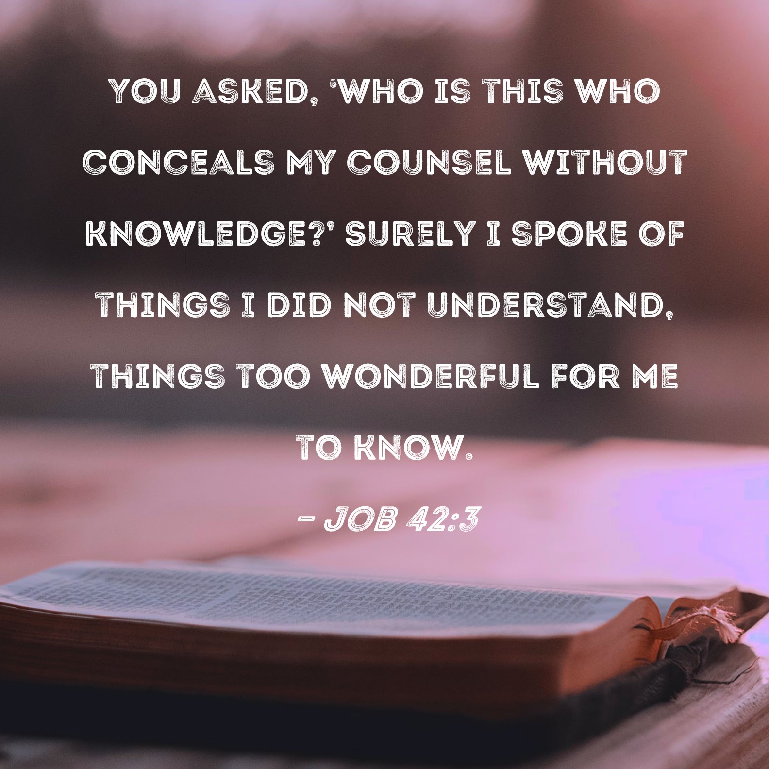 Job 423 You asked, 'Who is this who conceals My counsel without