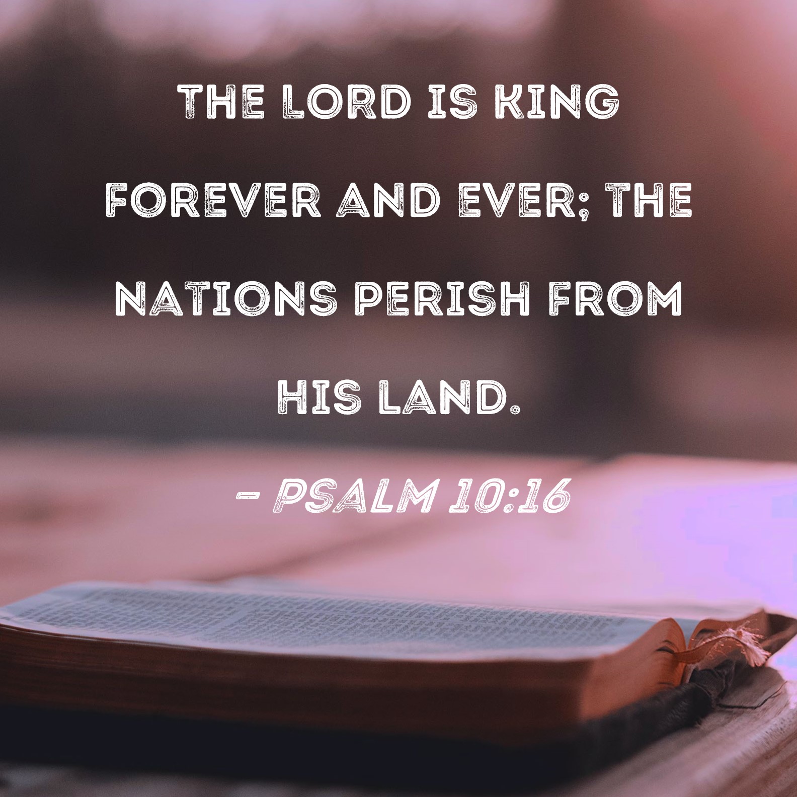 Psalm 1016 The LORD is King forever and ever; the nations perish from