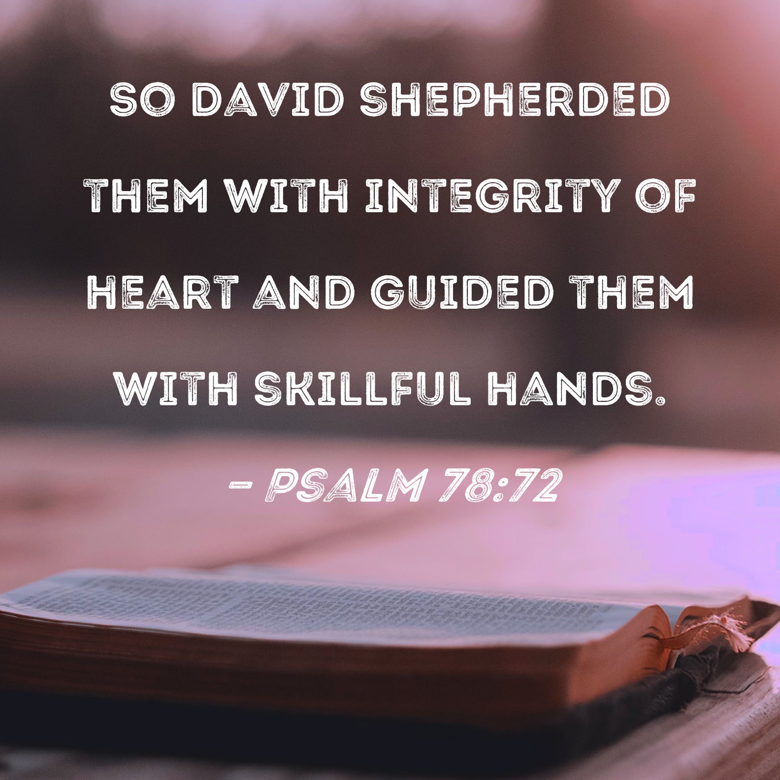 Psalm 7872 So David shepherded them with integrity of heart and guided