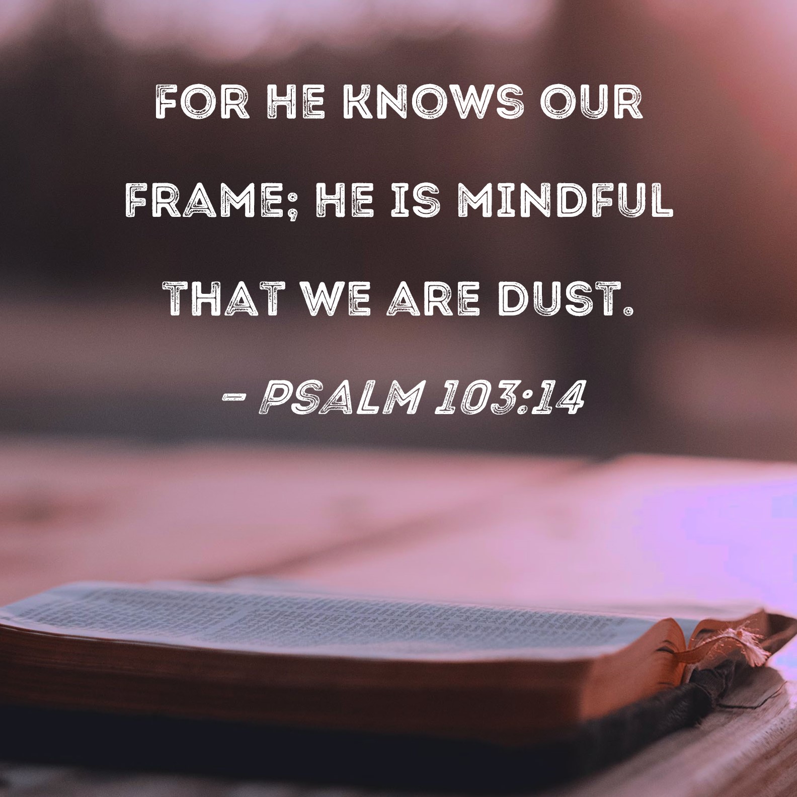 Psalm 10314 For He knows our frame; He is mindful that we are dust.