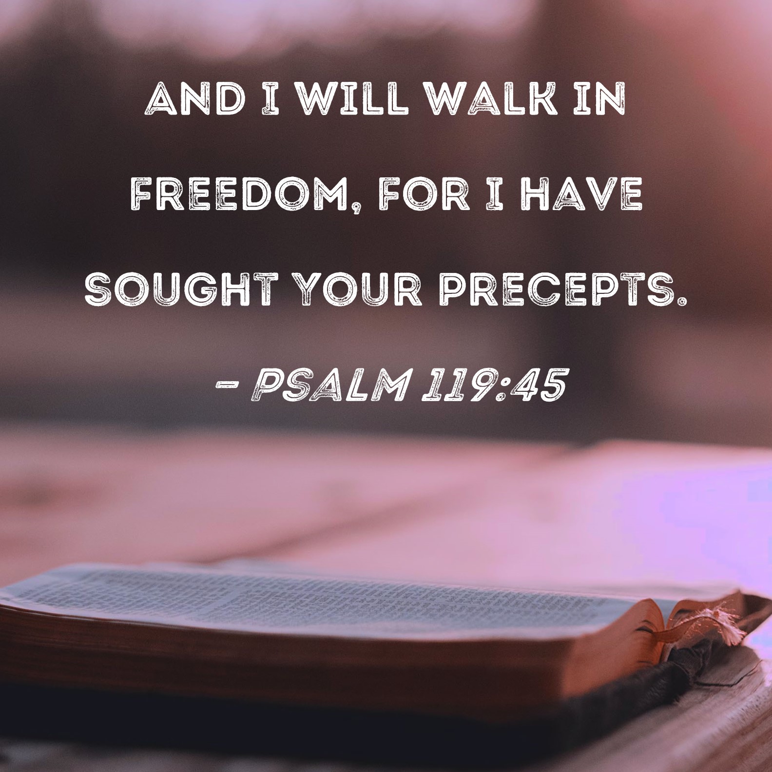 Psalm 11945 And I will walk in freedom, for I have sought Your precepts.
