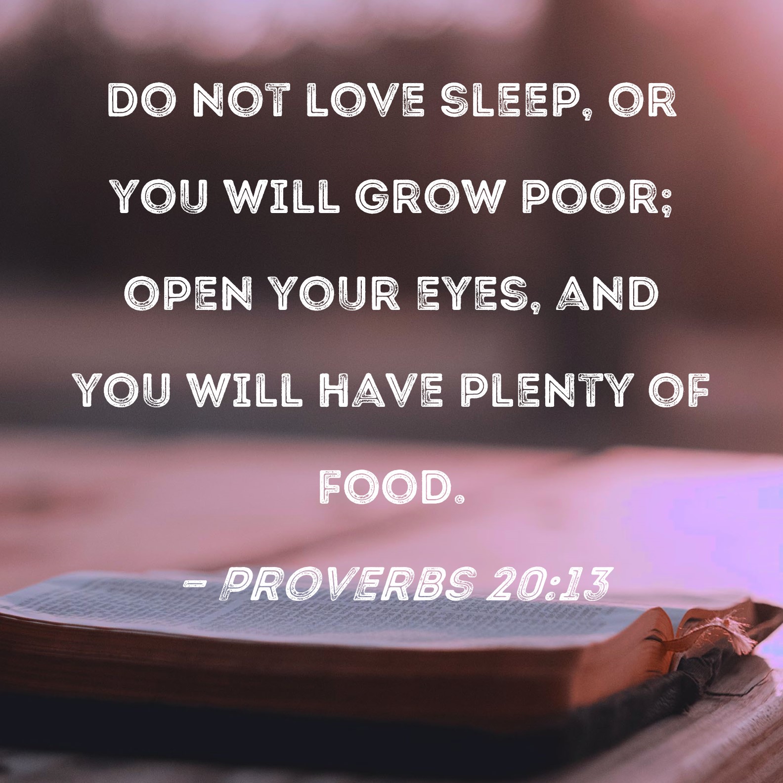 Proverbs 2013 Do not love sleep, or you will grow poor; open your eyes