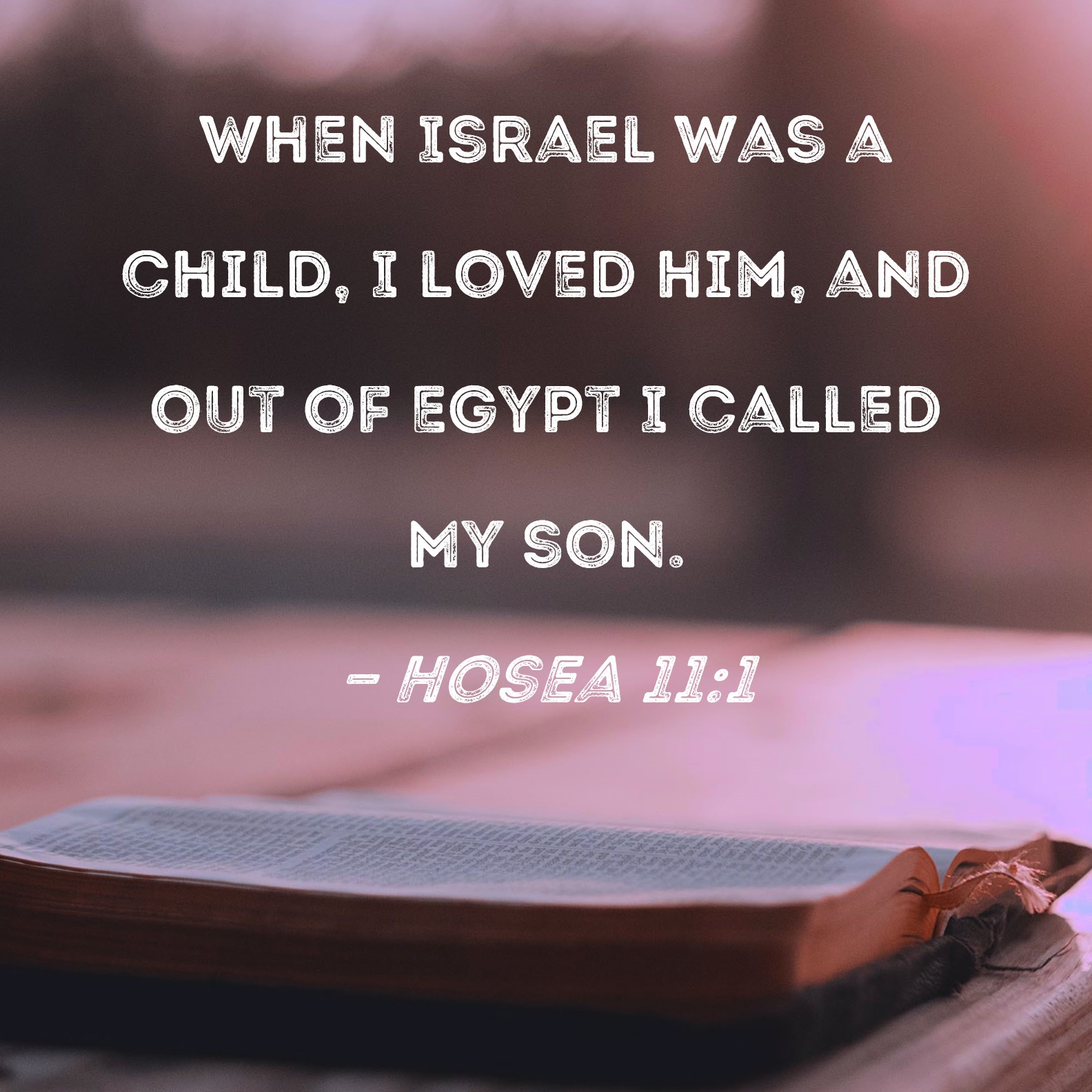 Hosea 111 When Israel was a child, I loved him, and out of Egypt I