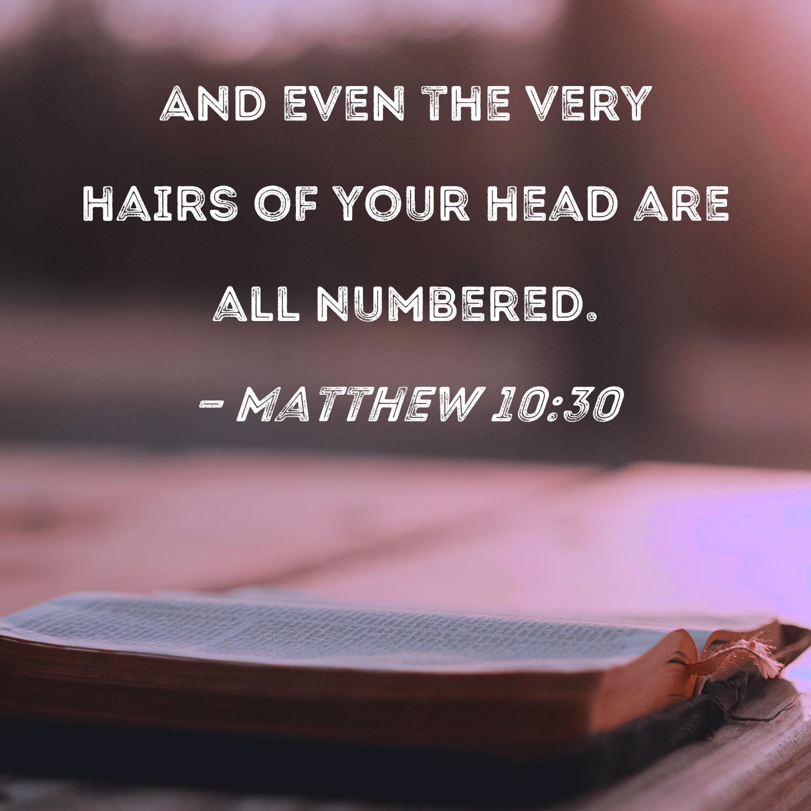 Matthew 1030 And even the very hairs of your head are all numbered.