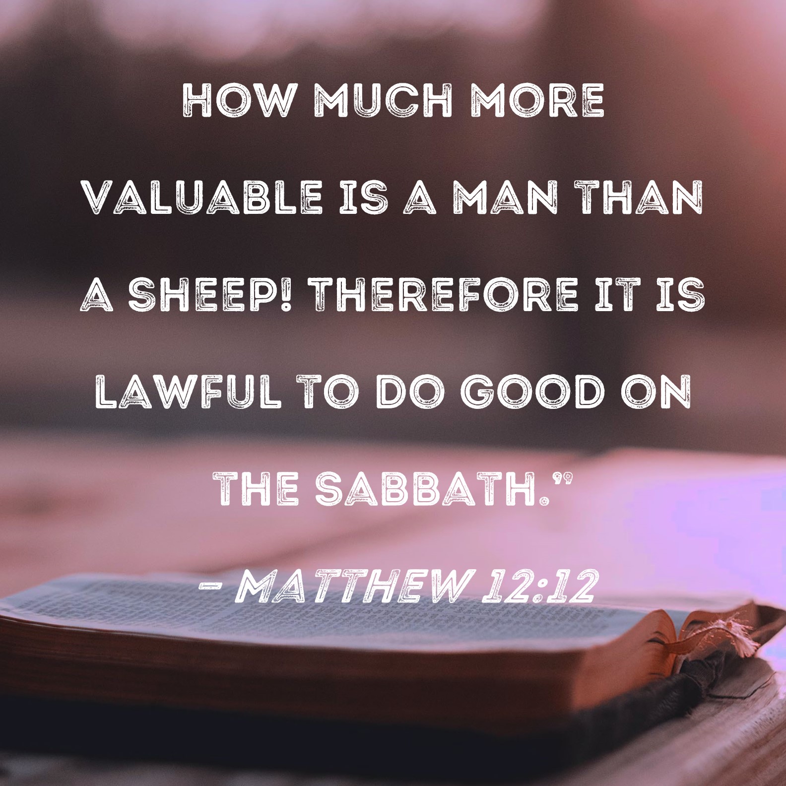 Matthew 1212 How much more valuable is a man than a sheep! Therefore