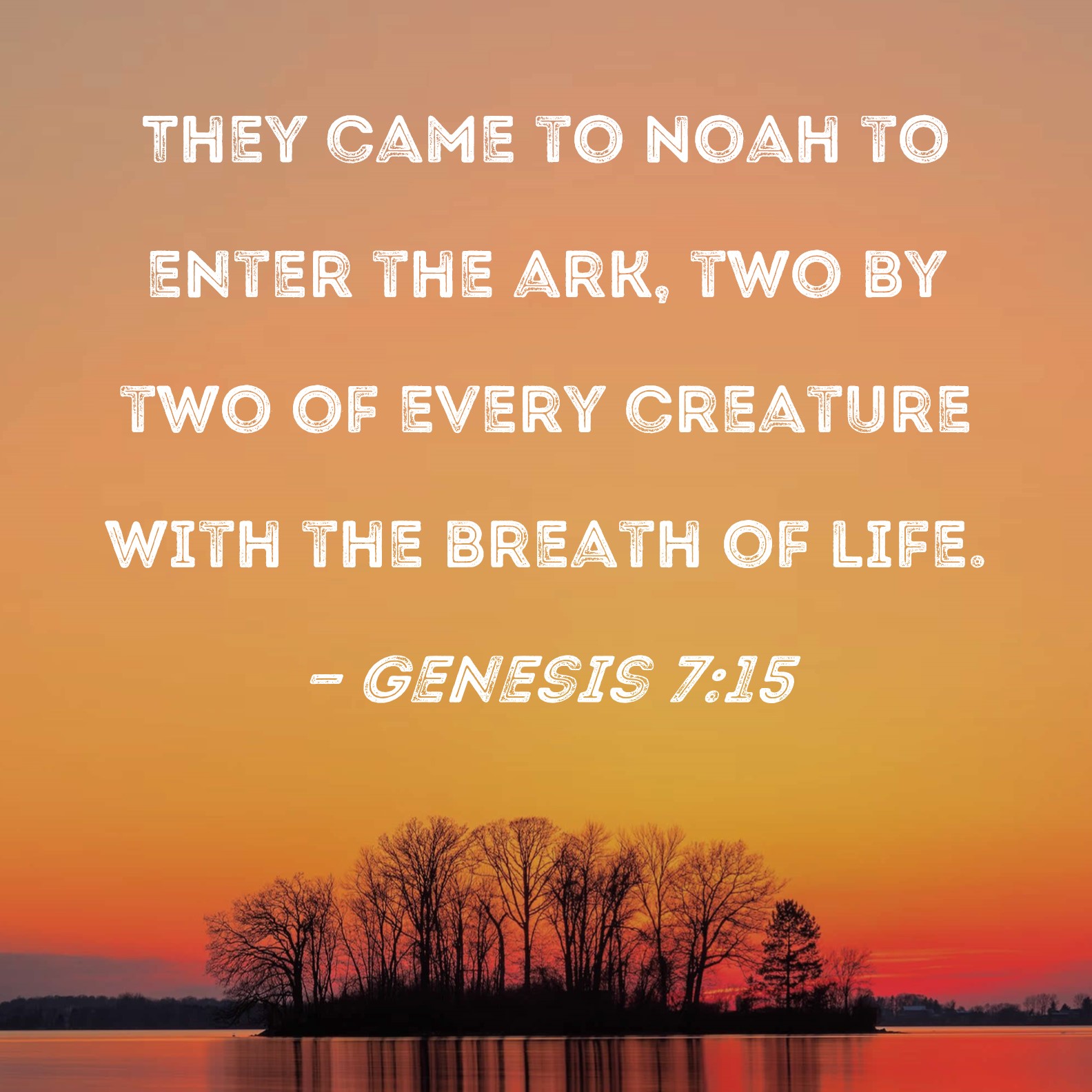 Genesis 715 They came to Noah to enter the ark, two by two of every