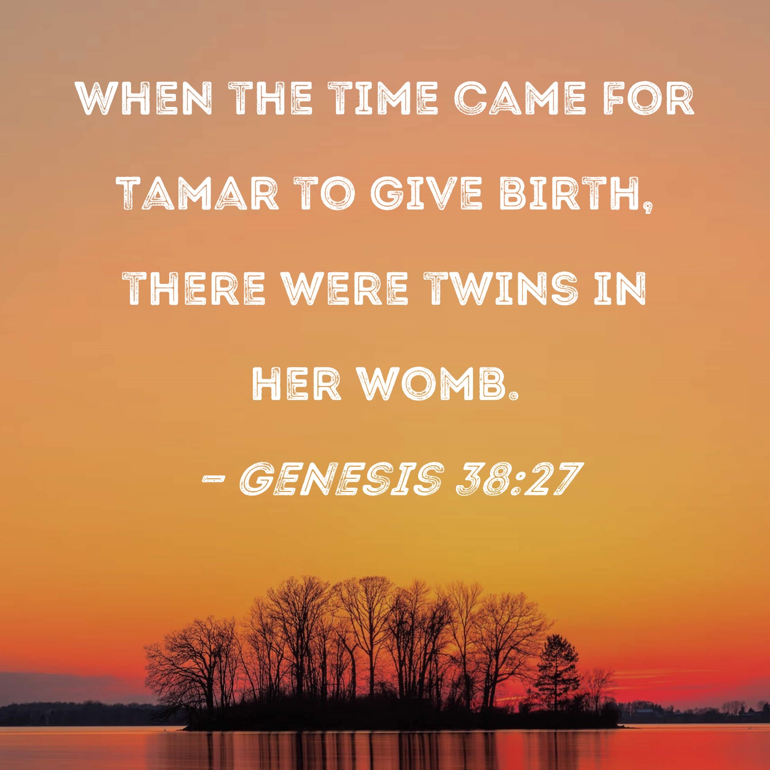 Genesis 3827 When the time came for Tamar to give birth, there were twins in her womb.