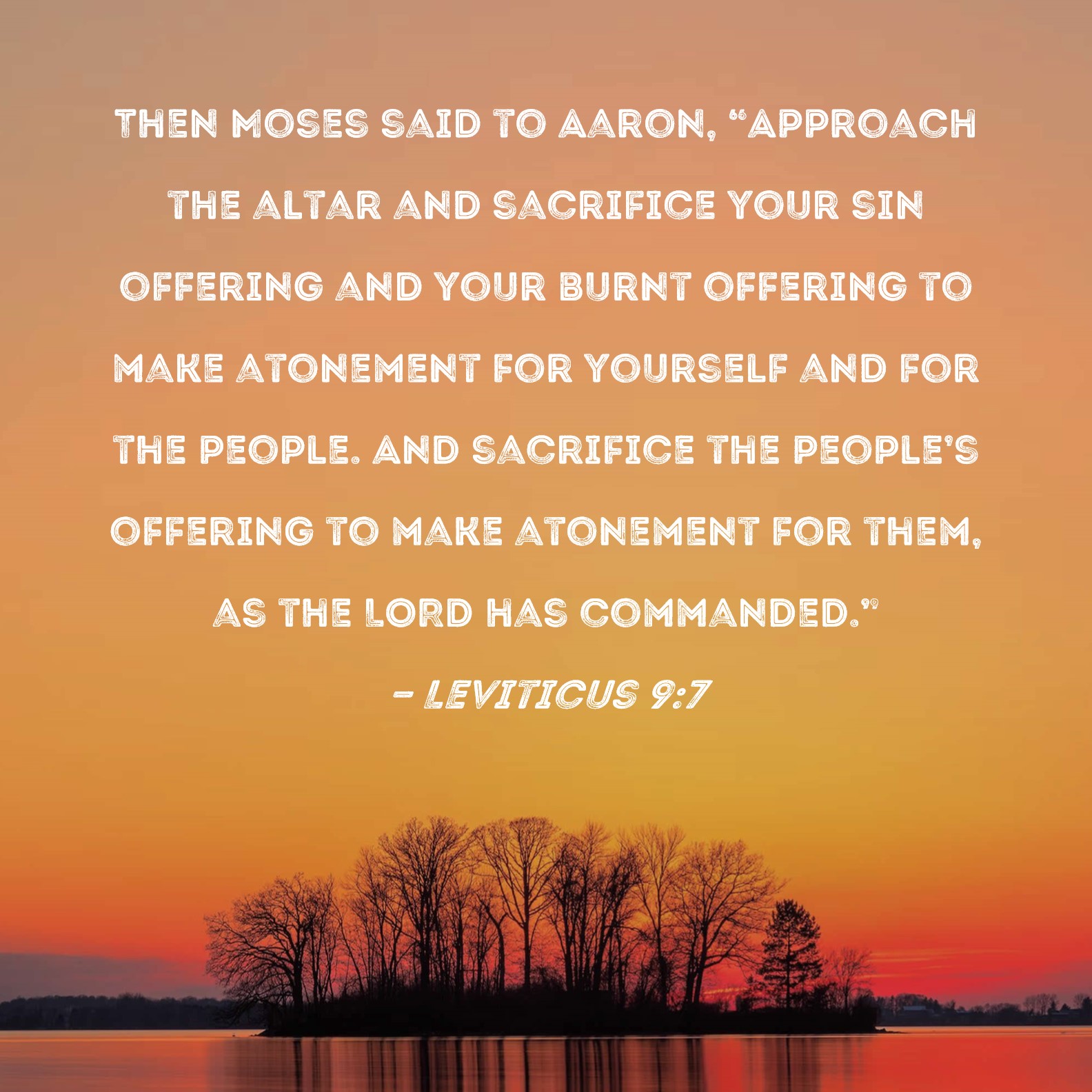 Leviticus 97 Then Moses said to Aaron, "Approach the altar and