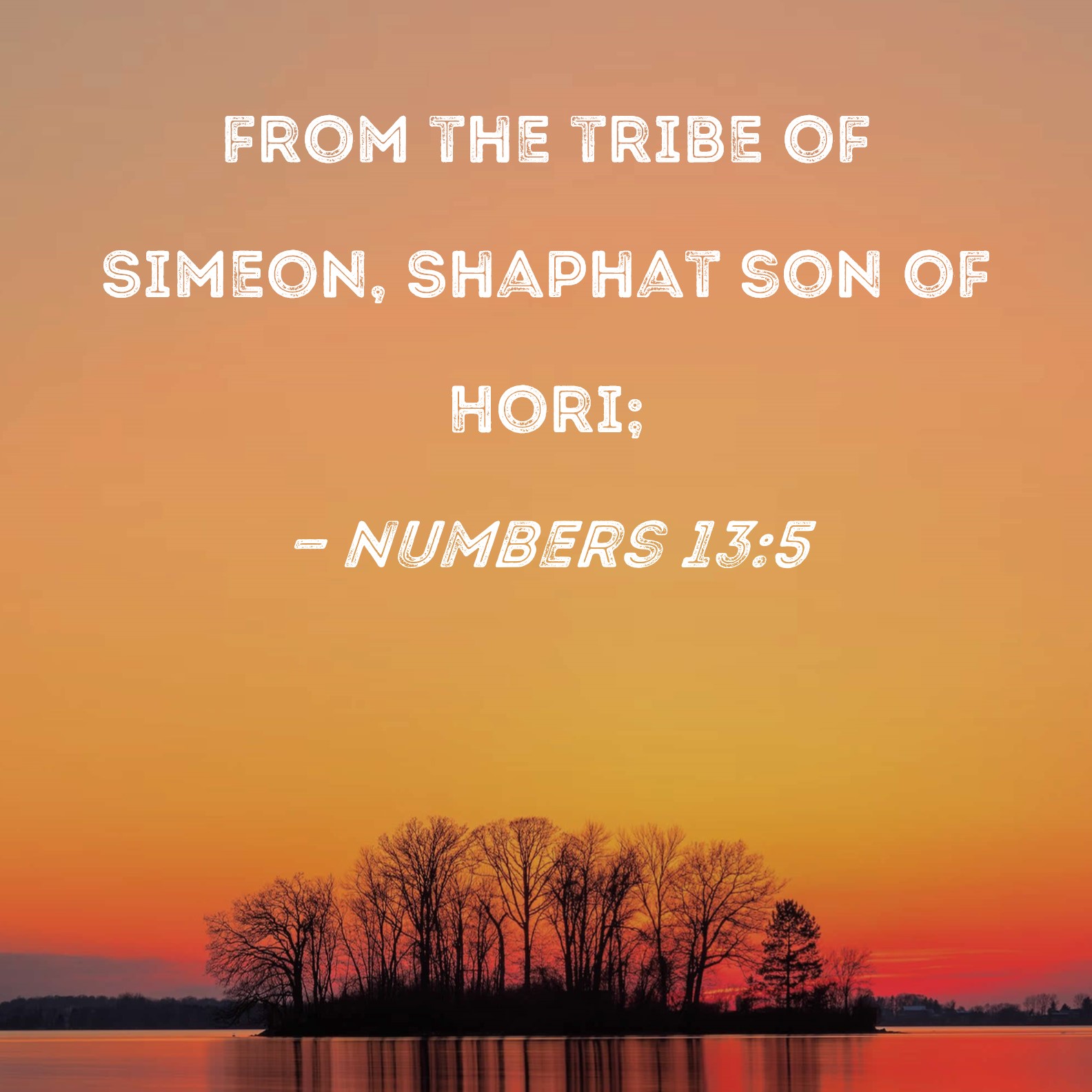 Numbers 13:5 from the tribe of Simeon, Shaphat son of Hori;