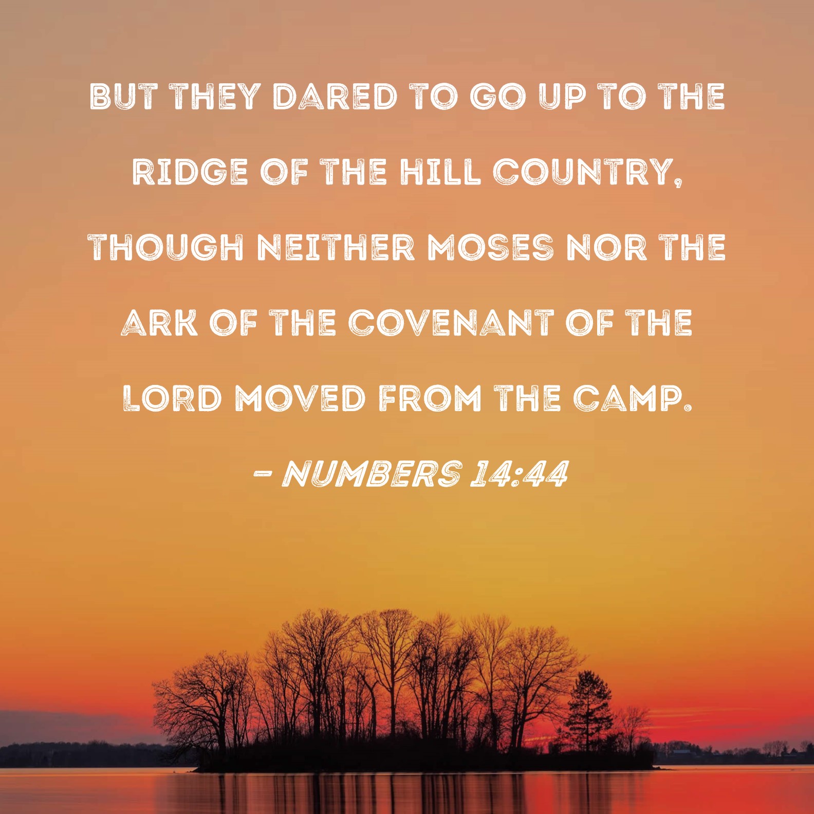 Numbers 14:44 But they dared to go up to the ridge of the hill country