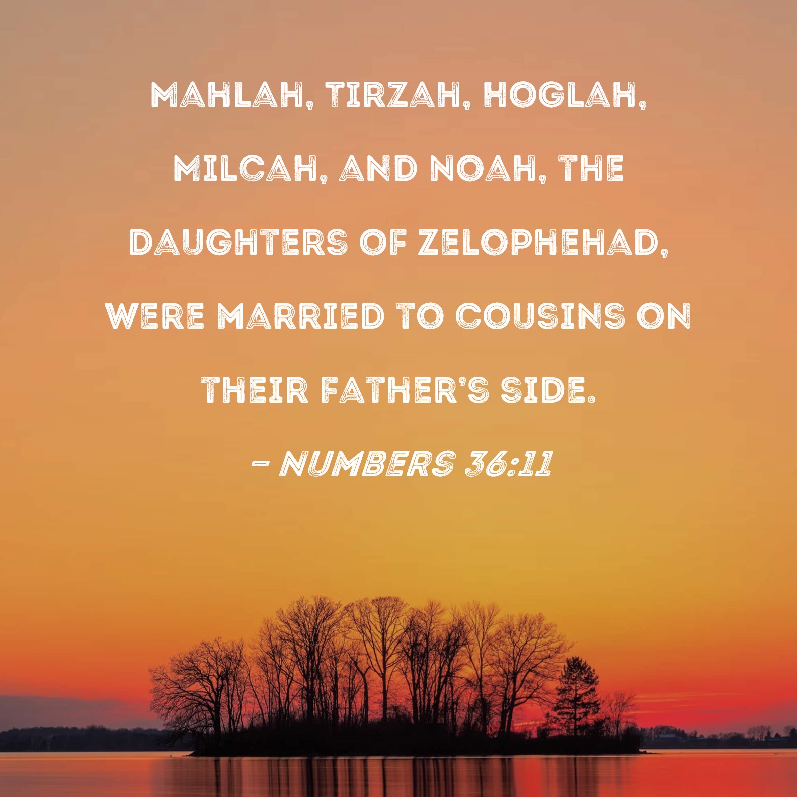 Numbers 3611 Mahlah, Tirzah, Hoglah, Milcah, and Noah, the daughters