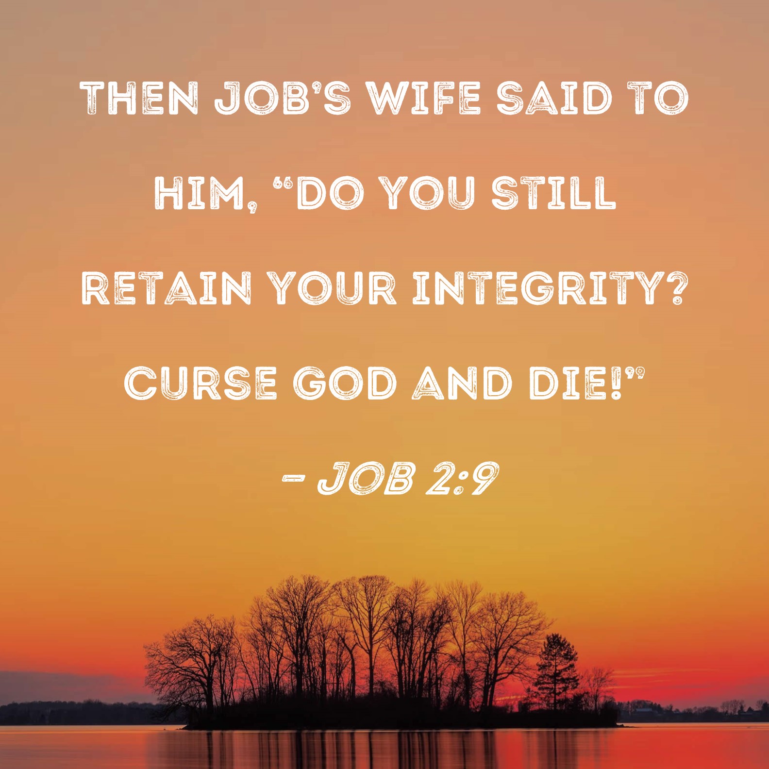 Job 29 Then Job's wife said to him, "Do you still retain your