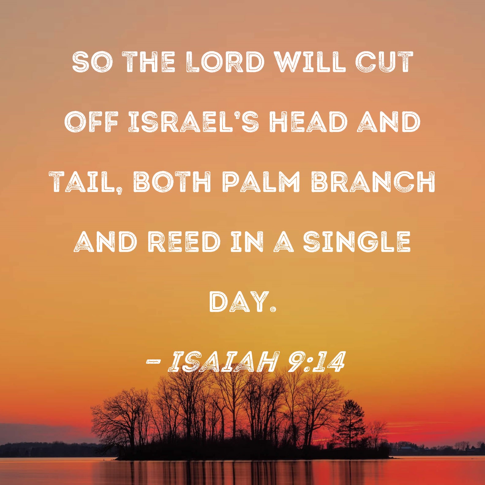 Isaiah 914 So the LORD will cut off Israel's head and tail, both palm