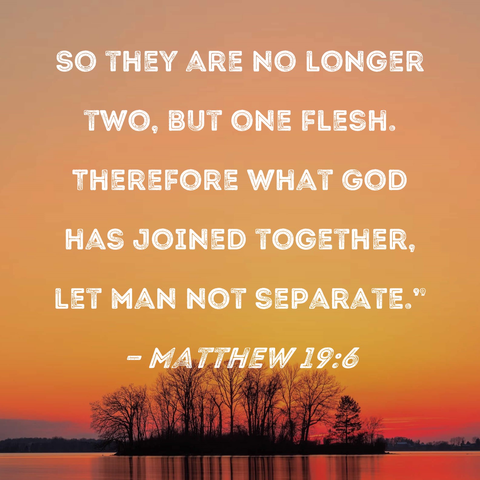 Matthew 196 So they are no longer two, but one flesh. Therefore what