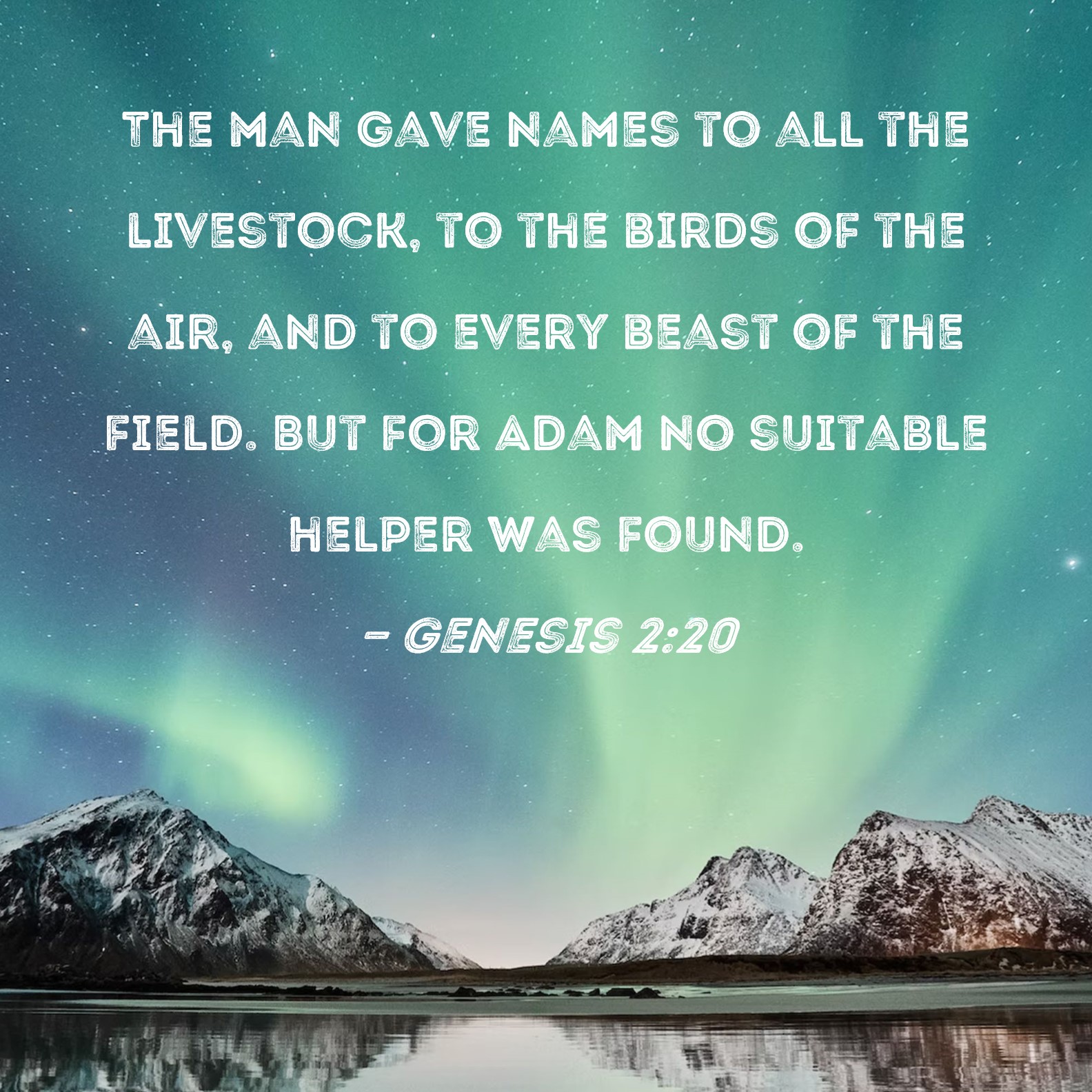 Genesis 220 The man gave names to all the livestock, to the birds of
