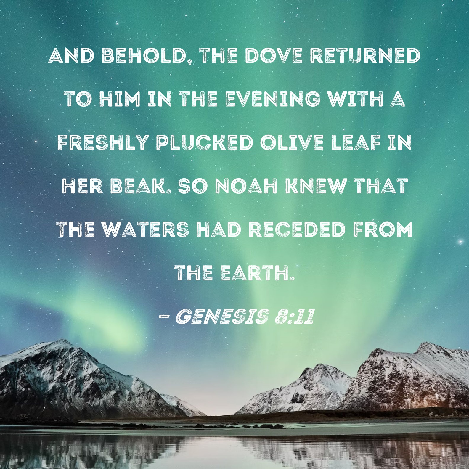 Genesis 811 And behold, the dove returned to him in the evening with a